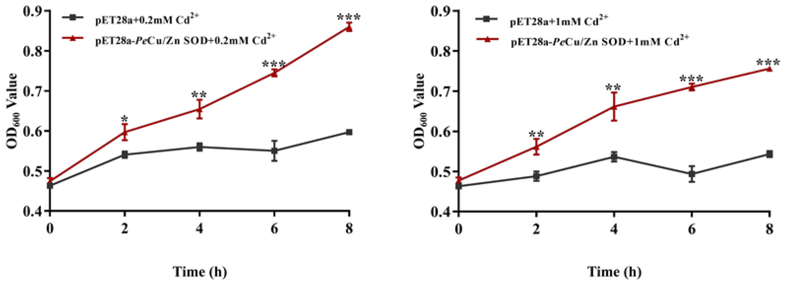 Ijms 23 12136 g010 Ijms 23 12136 g010