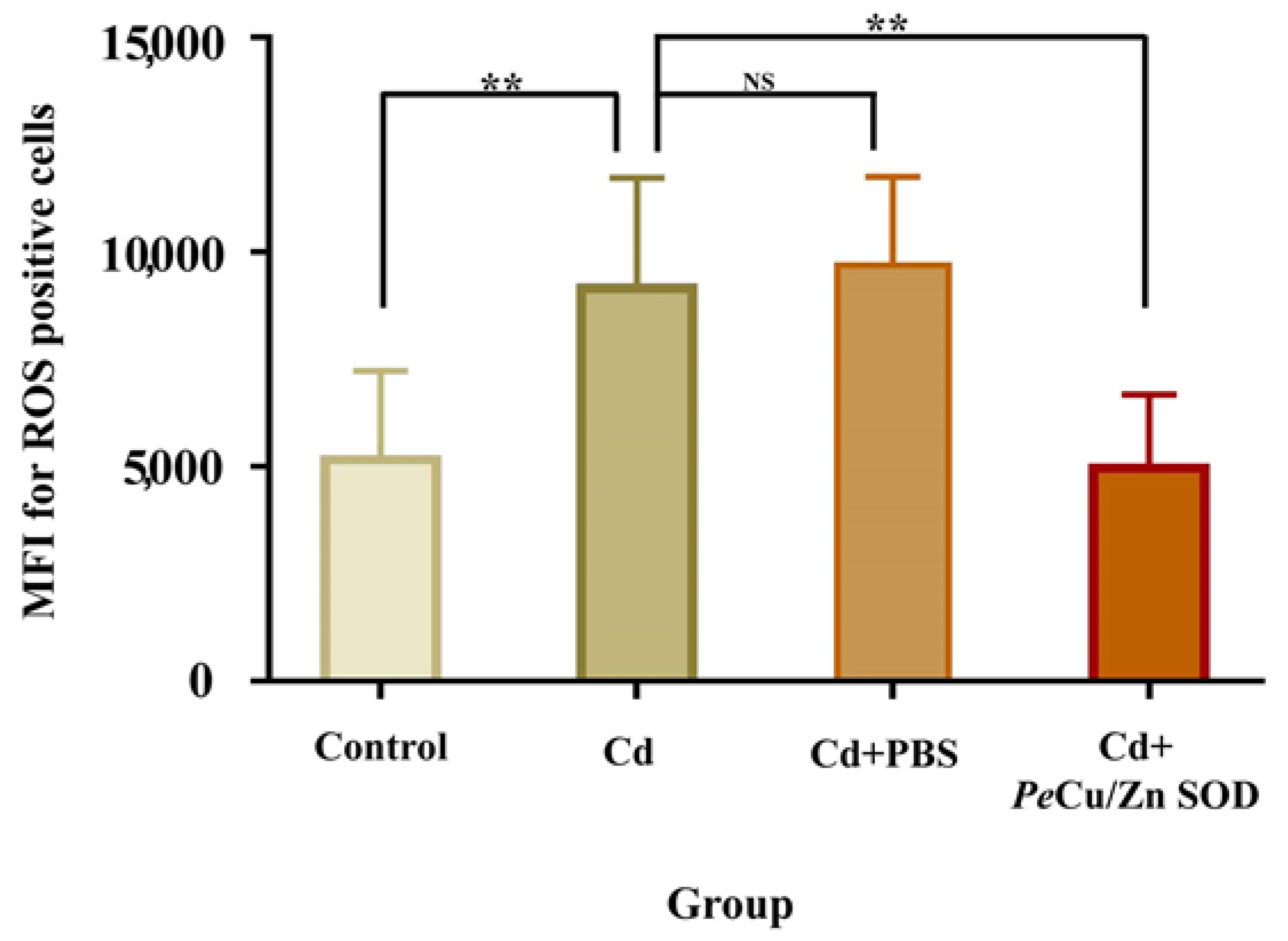 Ijms 23 12136 g011 Ijms 23 12136 g011