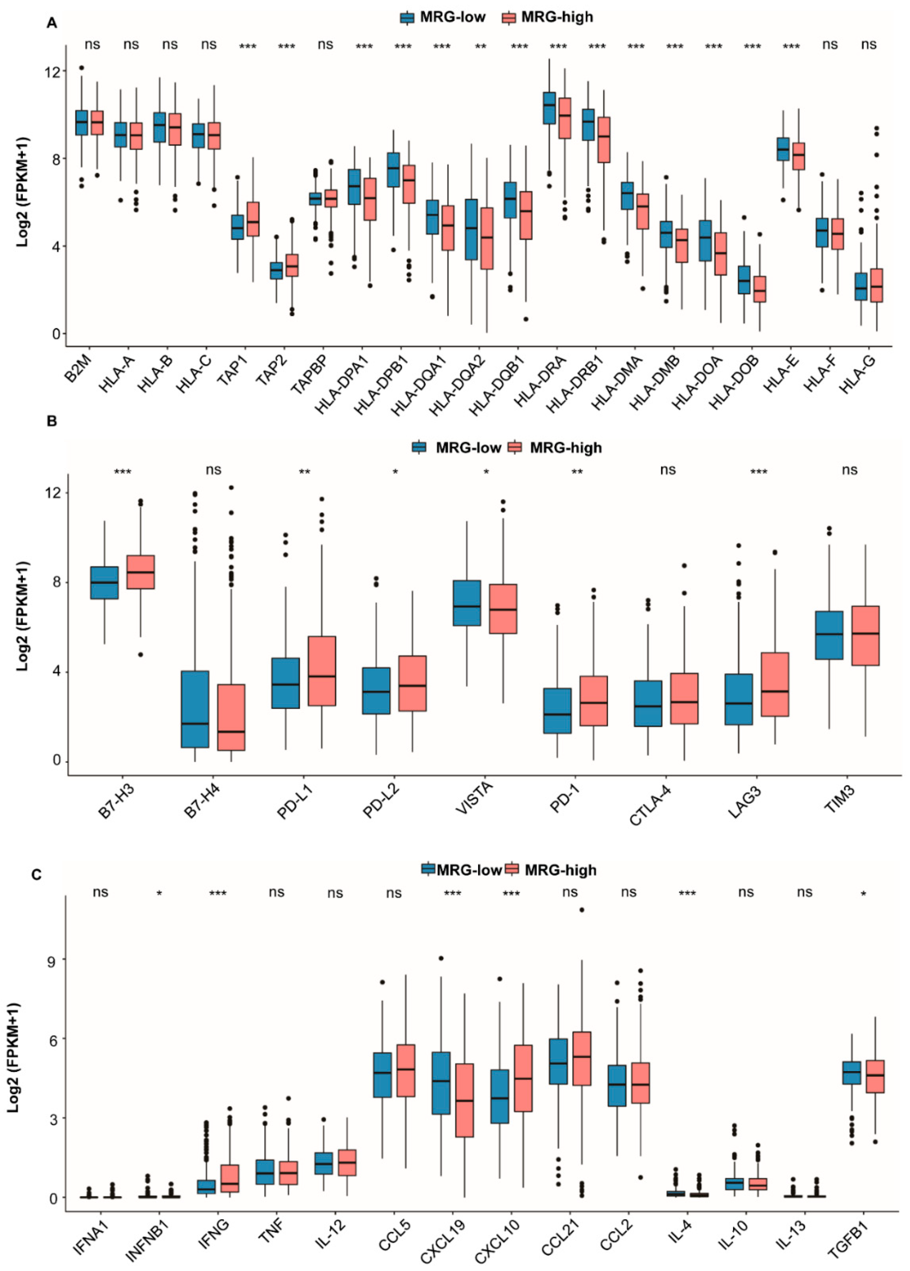 Ijms 23 12143 g004 Ijms 23 12143 g004