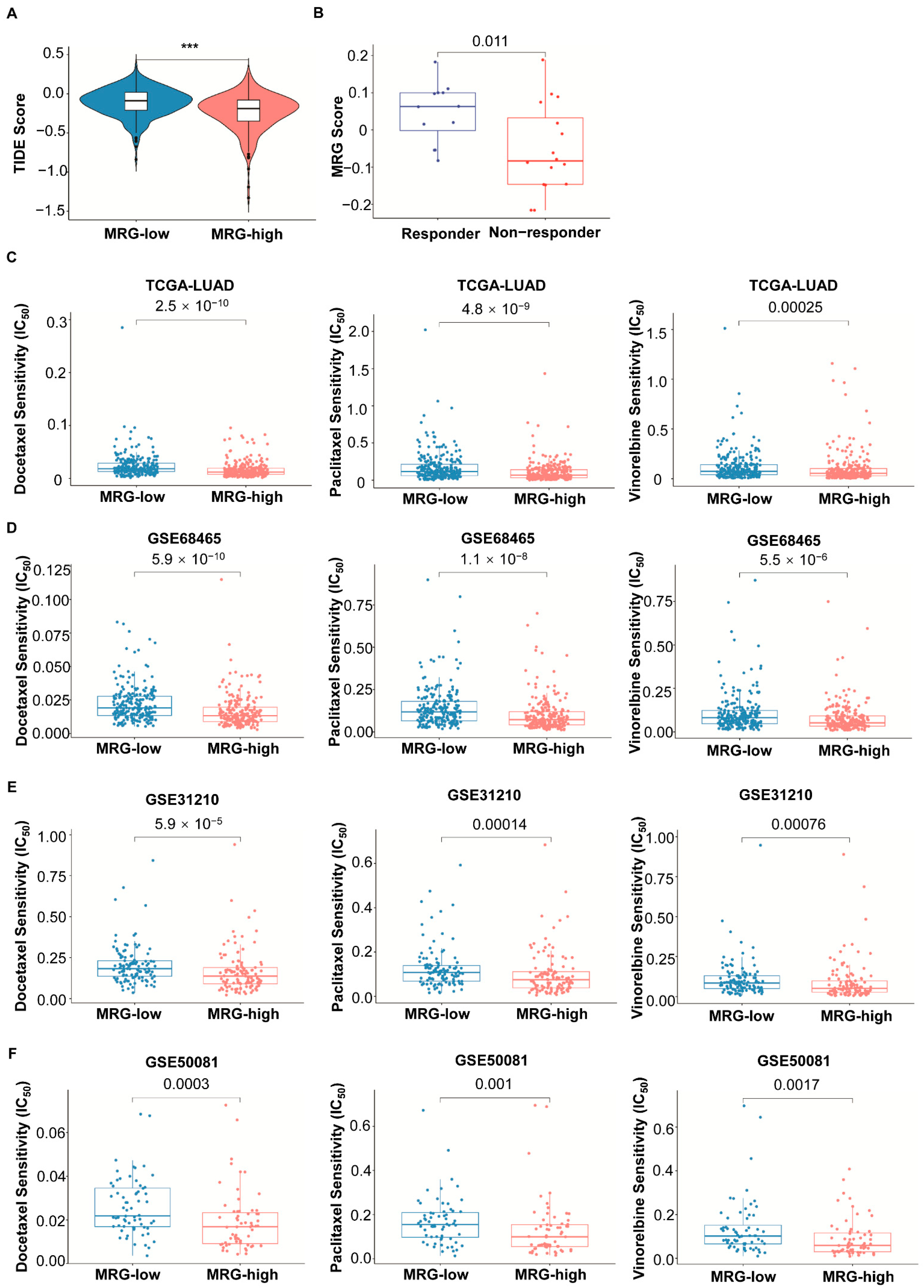 Ijms 23 12143 g006 Ijms 23 12143 g006