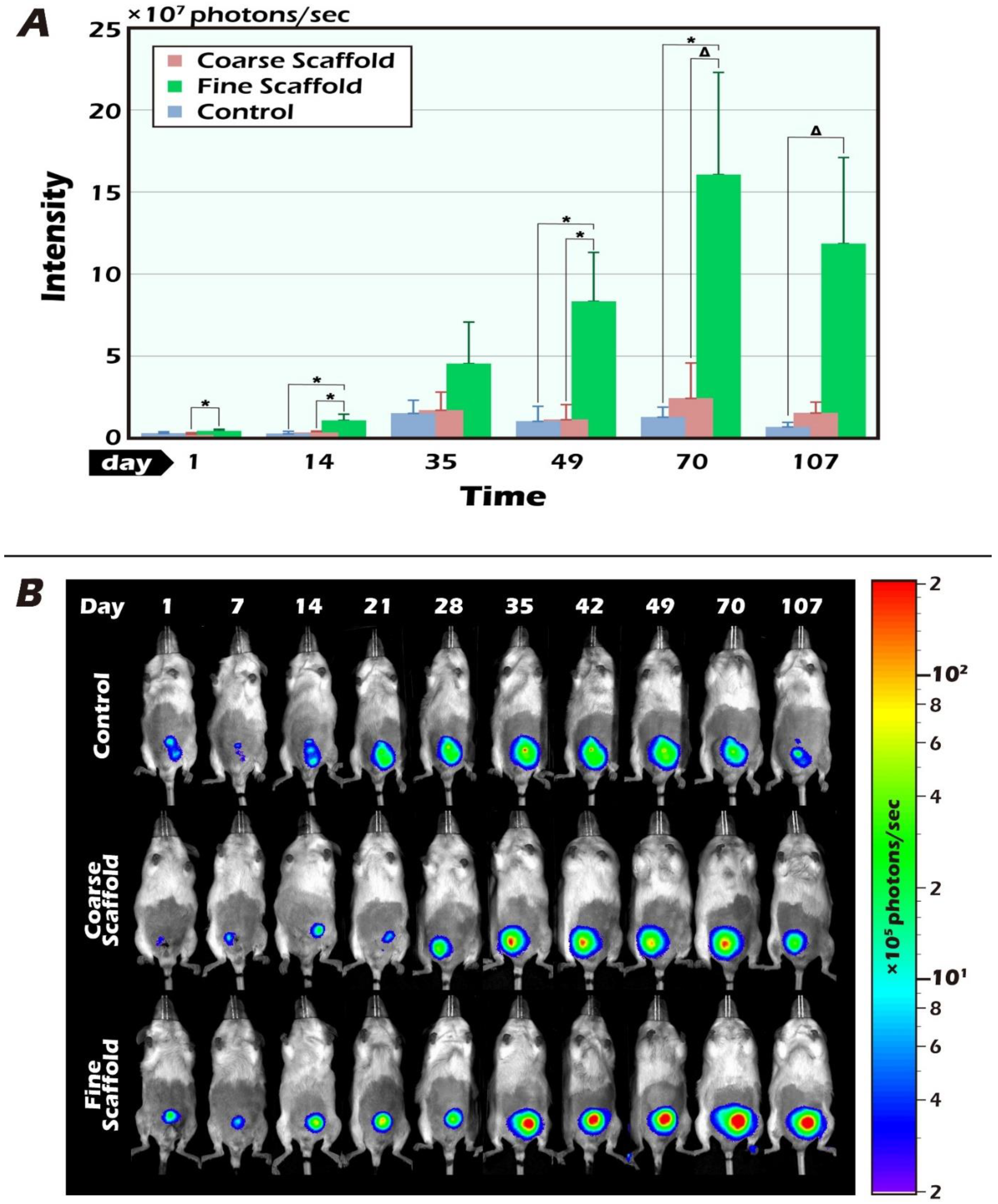 Ijms 23 12145 g002 Ijms 23 12145 g002