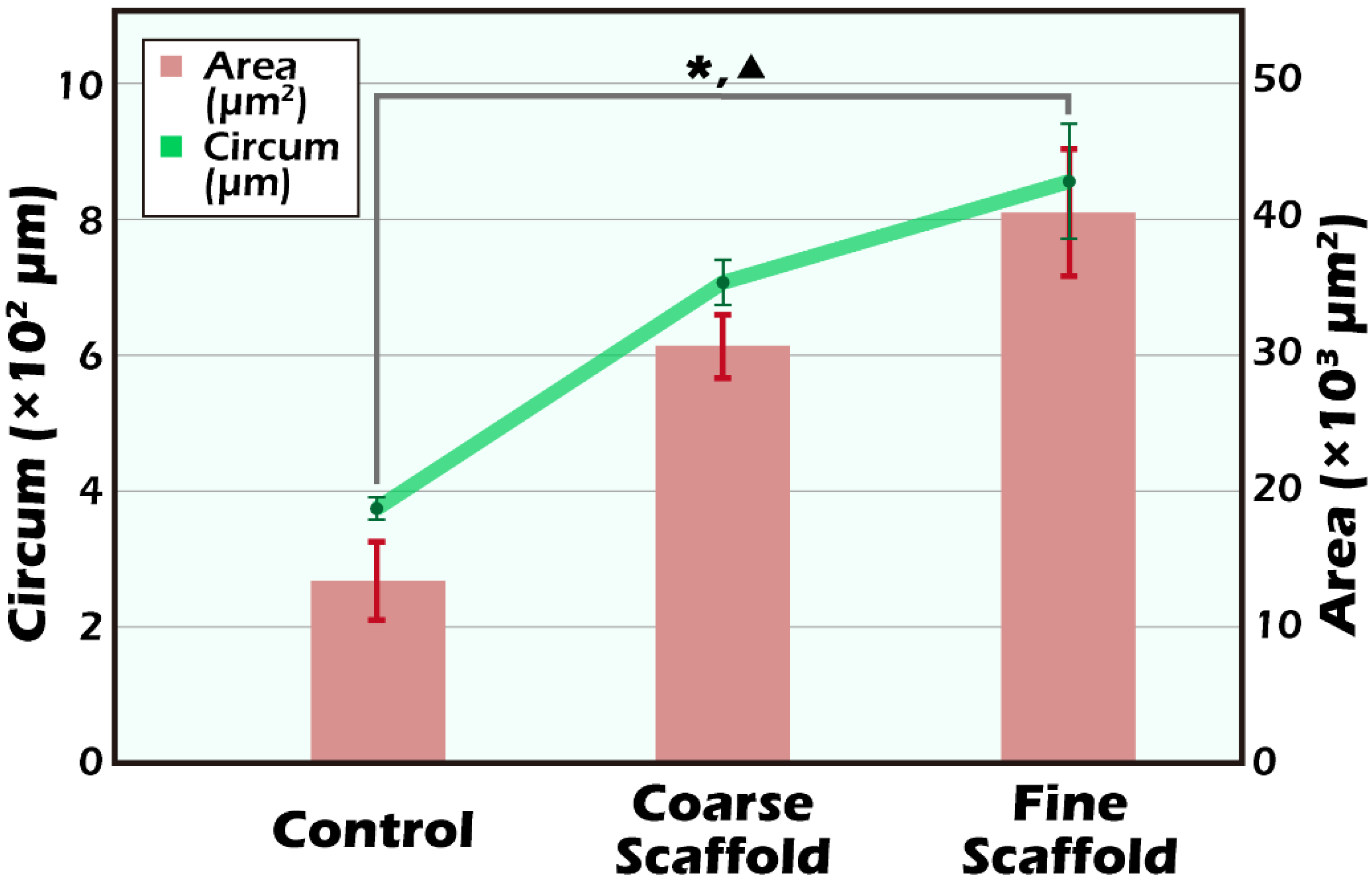 Ijms 23 12145 g005 Ijms 23 12145 g005