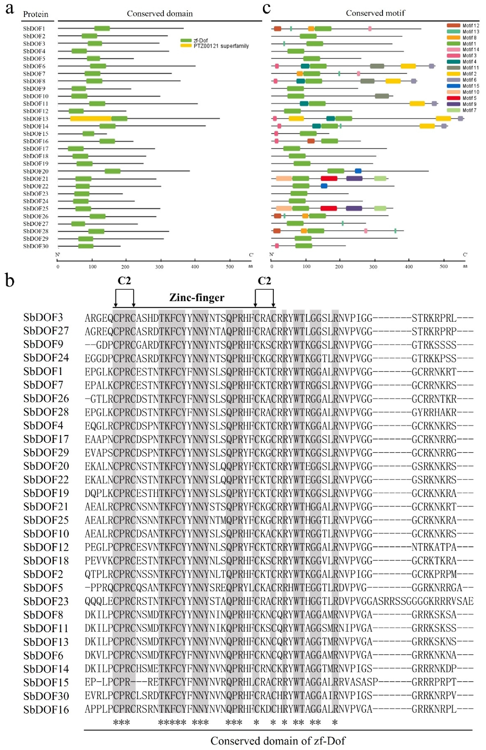 Ijms 23 12152 g002 Ijms 23 12152 g002