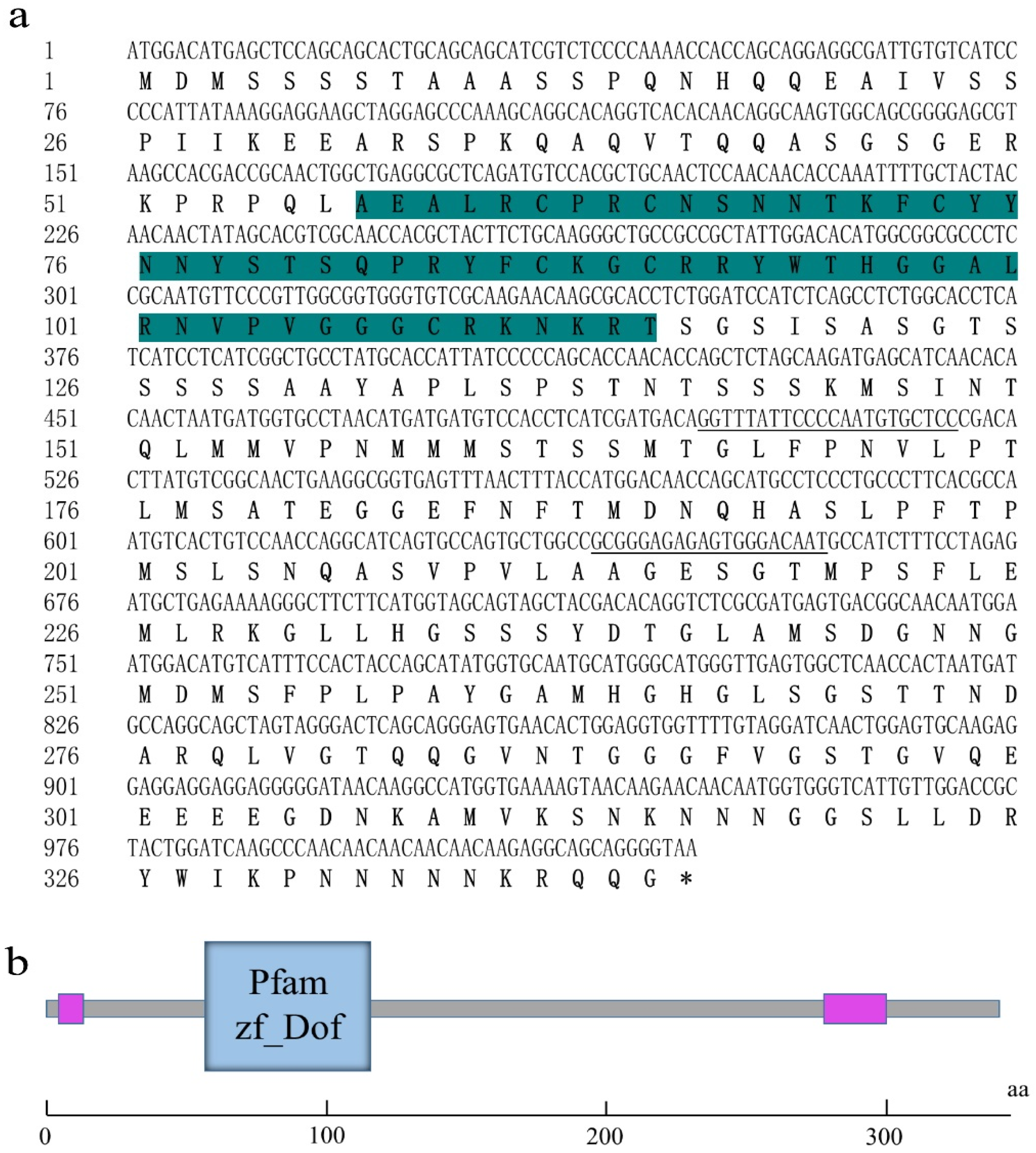 Ijms 23 12152 g004 Ijms 23 12152 g004