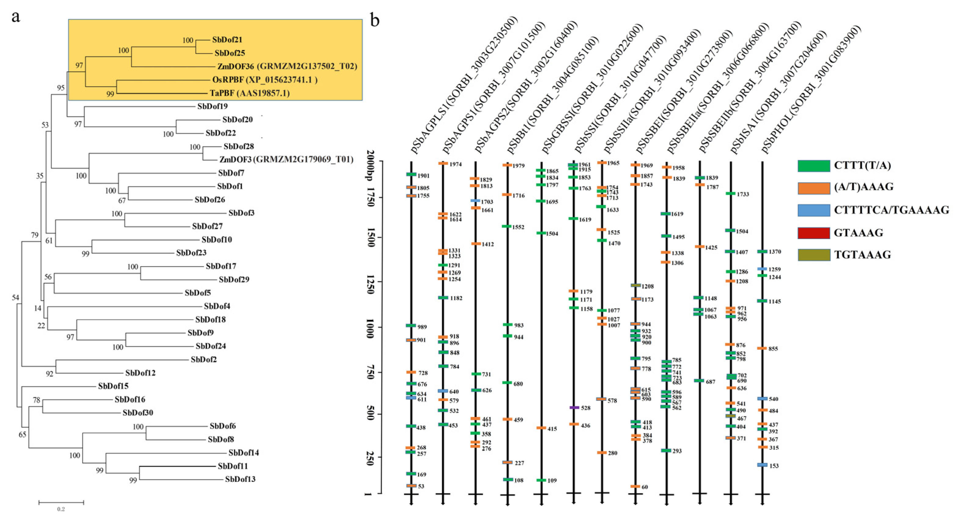 Ijms 23 12152 g006 Ijms 23 12152 g006