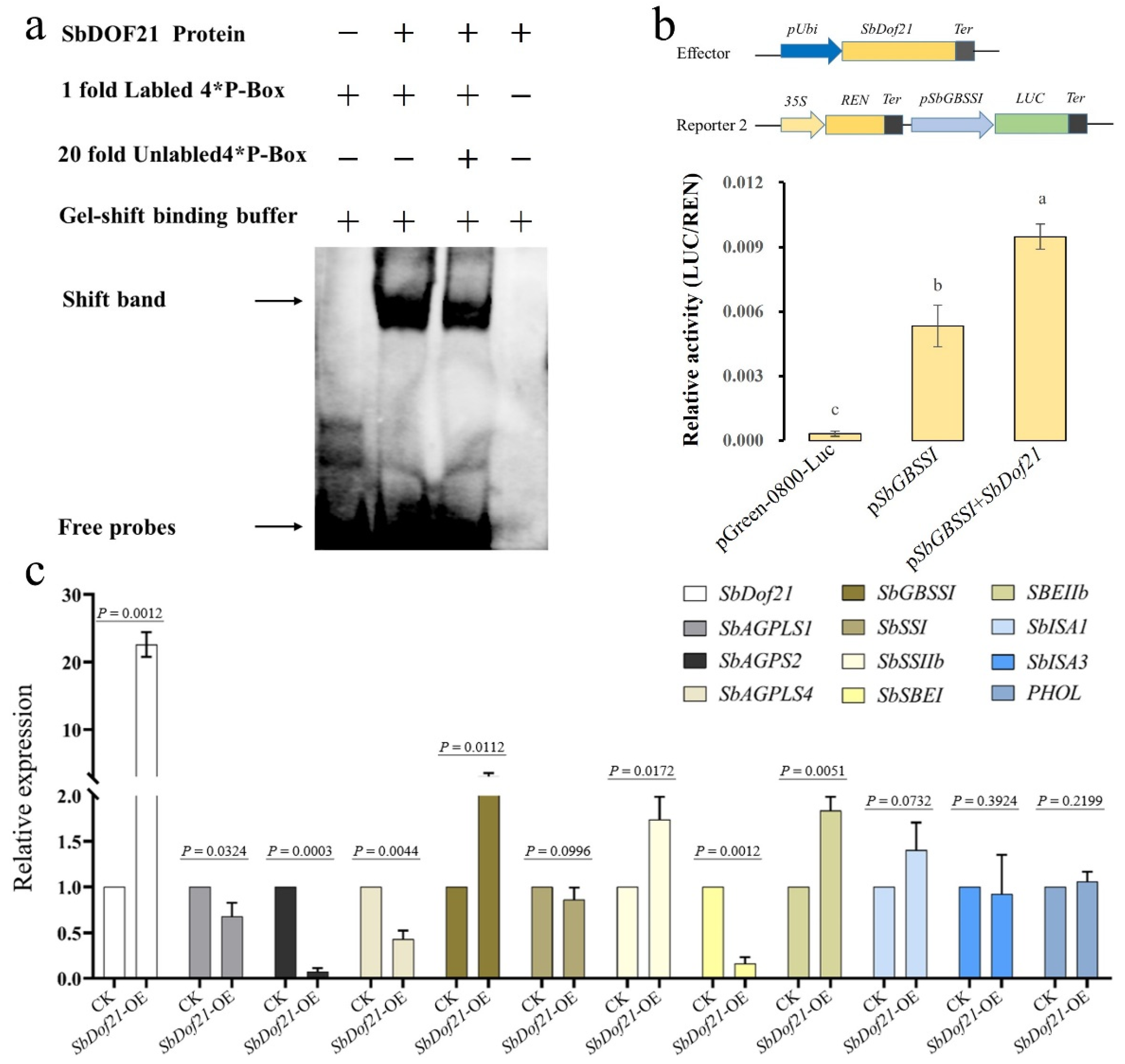 Ijms 23 12152 g007 Ijms 23 12152 g007