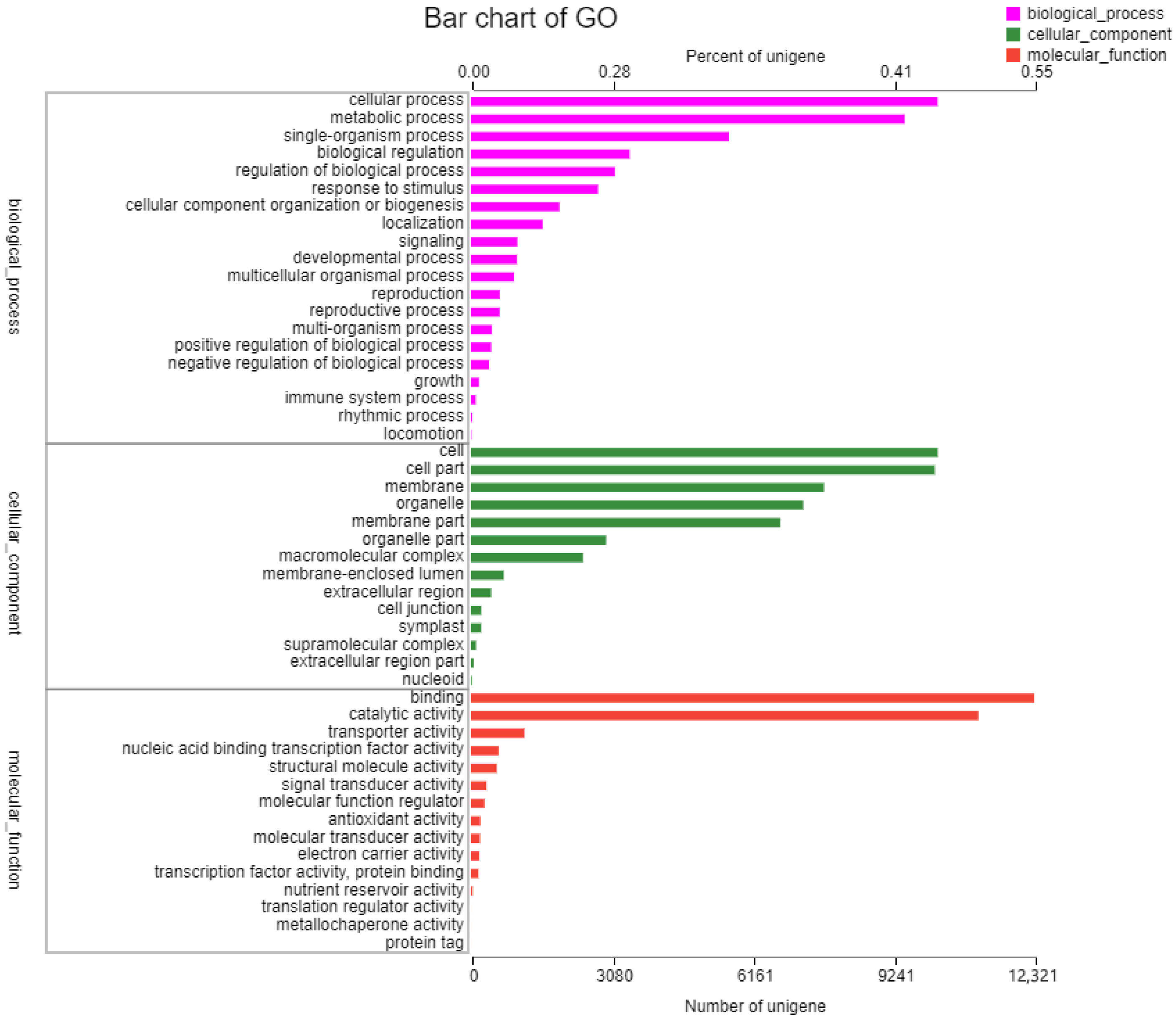 Ijms 23 12175 g001 Ijms 23 12175 g001