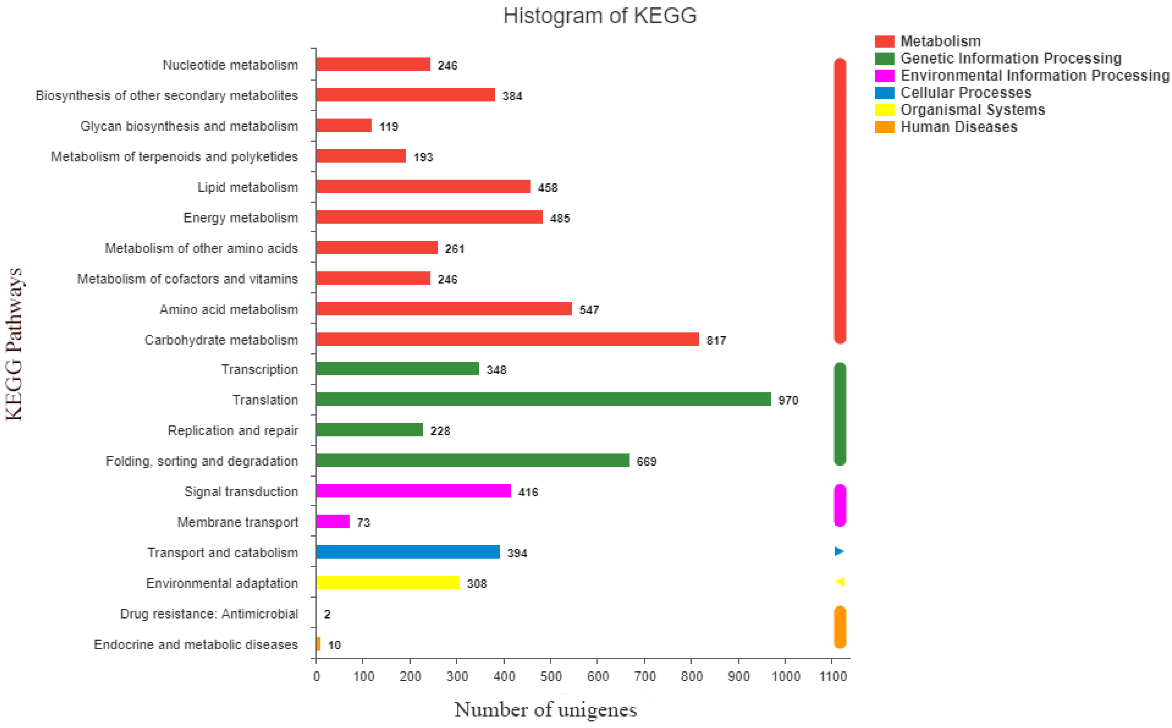 Ijms 23 12175 g002 Ijms 23 12175 g002