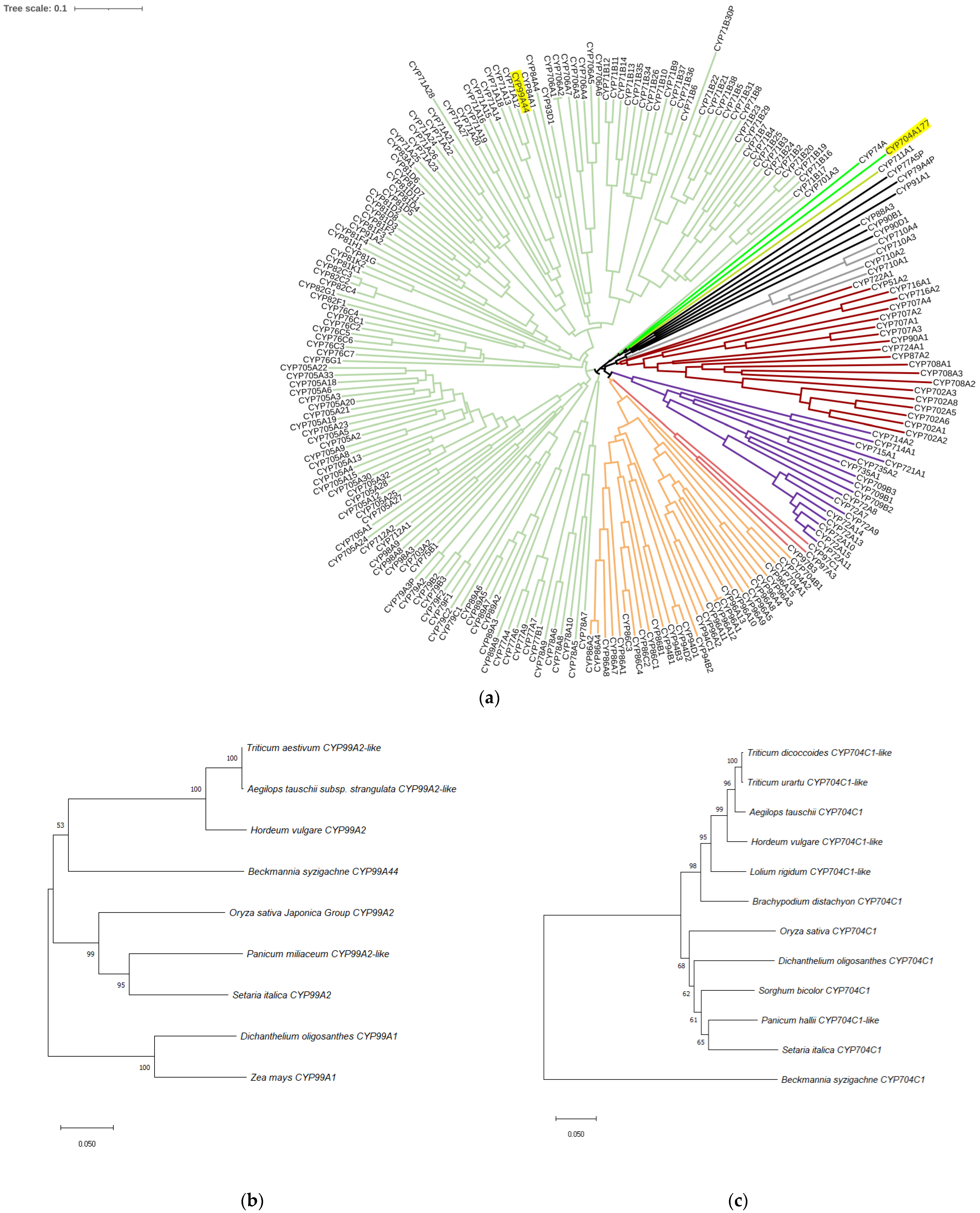 Ijms 23 12175 g003 Ijms 23 12175 g003