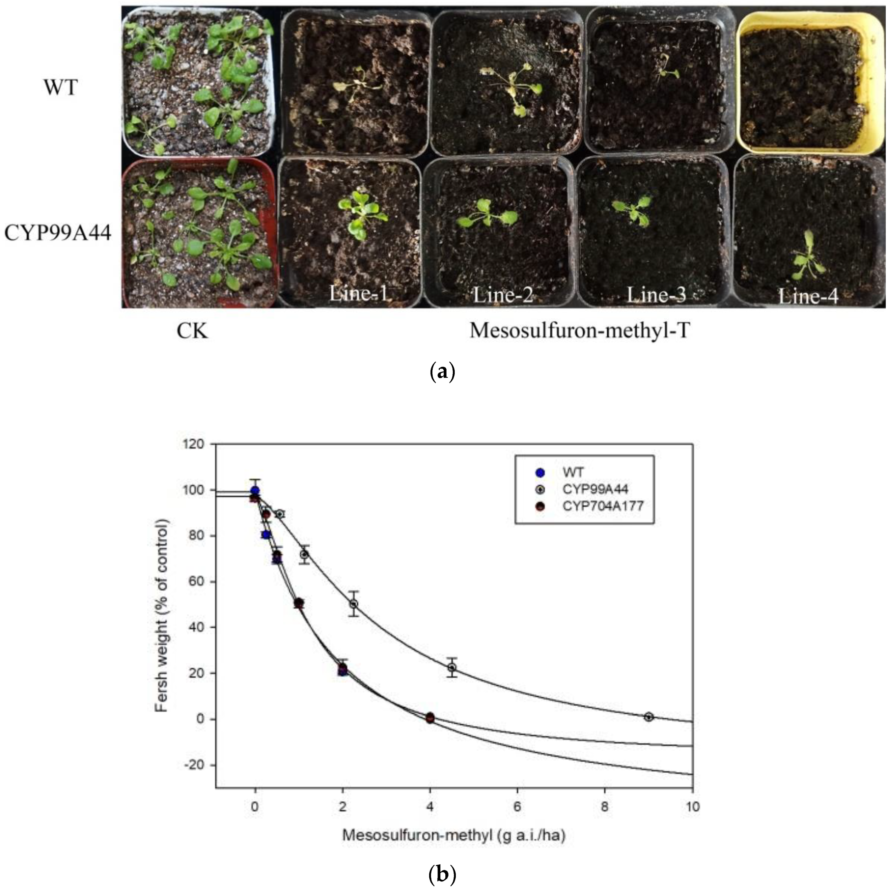 Ijms 23 12175 g005 Ijms 23 12175 g005