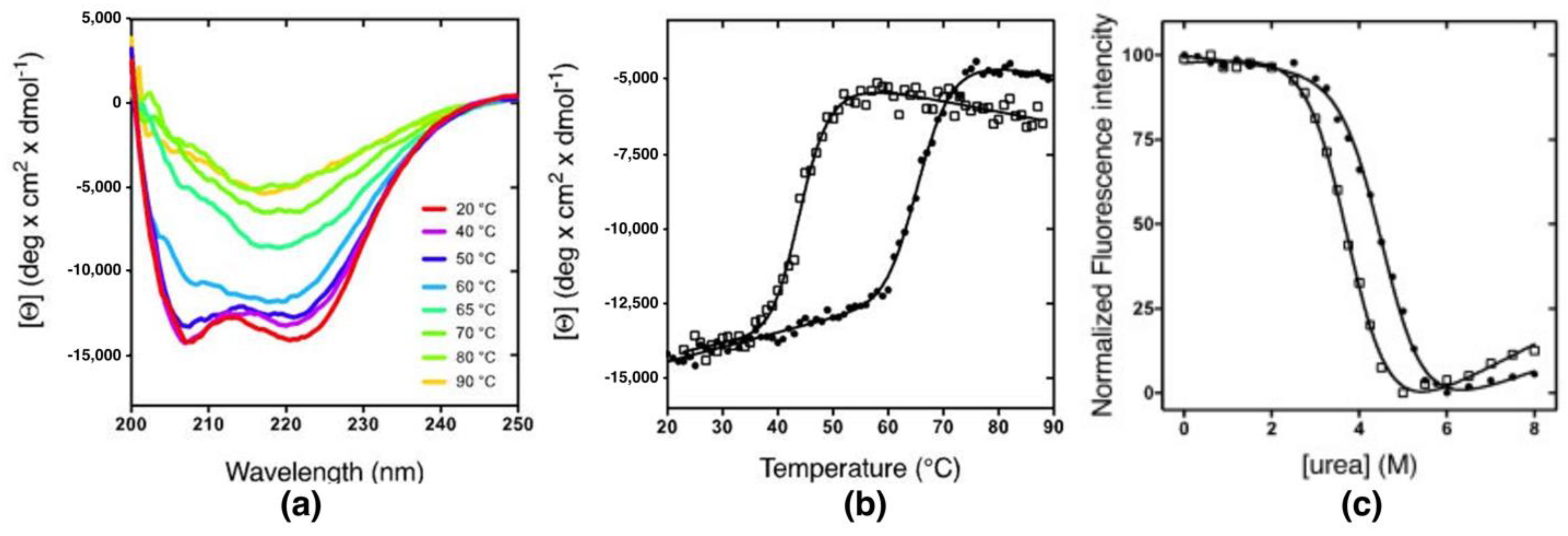 Ijms 23 12178 g002 Ijms 23 12178 g002