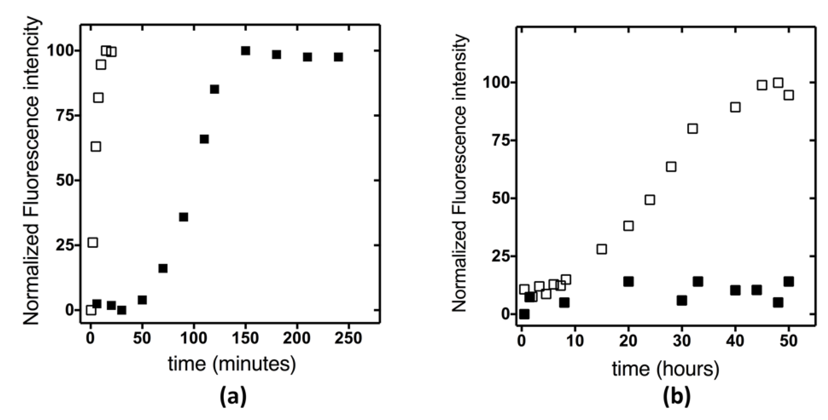 Ijms 23 12178 g005 Ijms 23 12178 g005