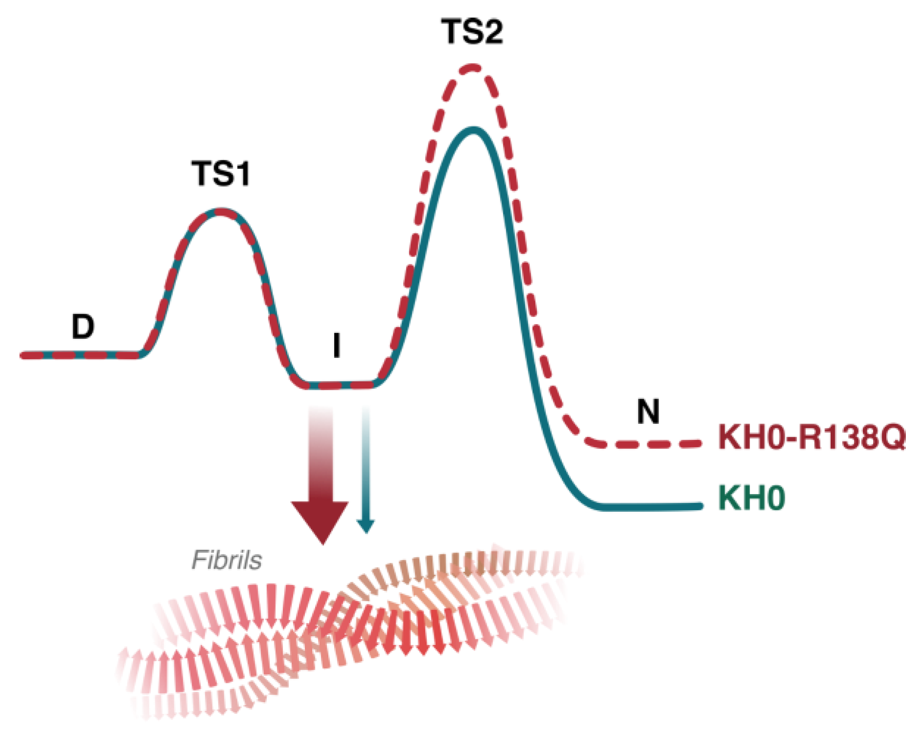 Ijms 23 12178 g006 Ijms 23 12178 g006