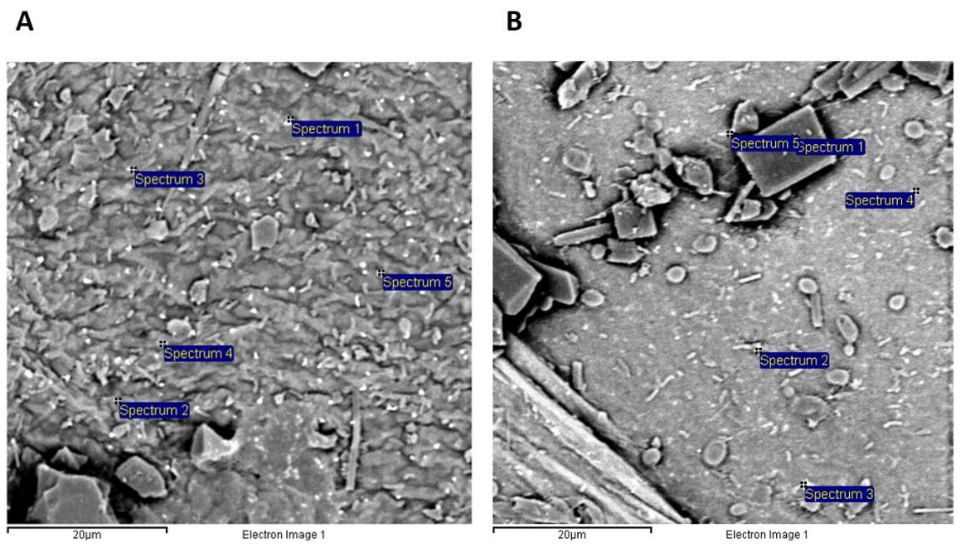 Ijms 23 12198 g004 Ijms 23 12198 g004