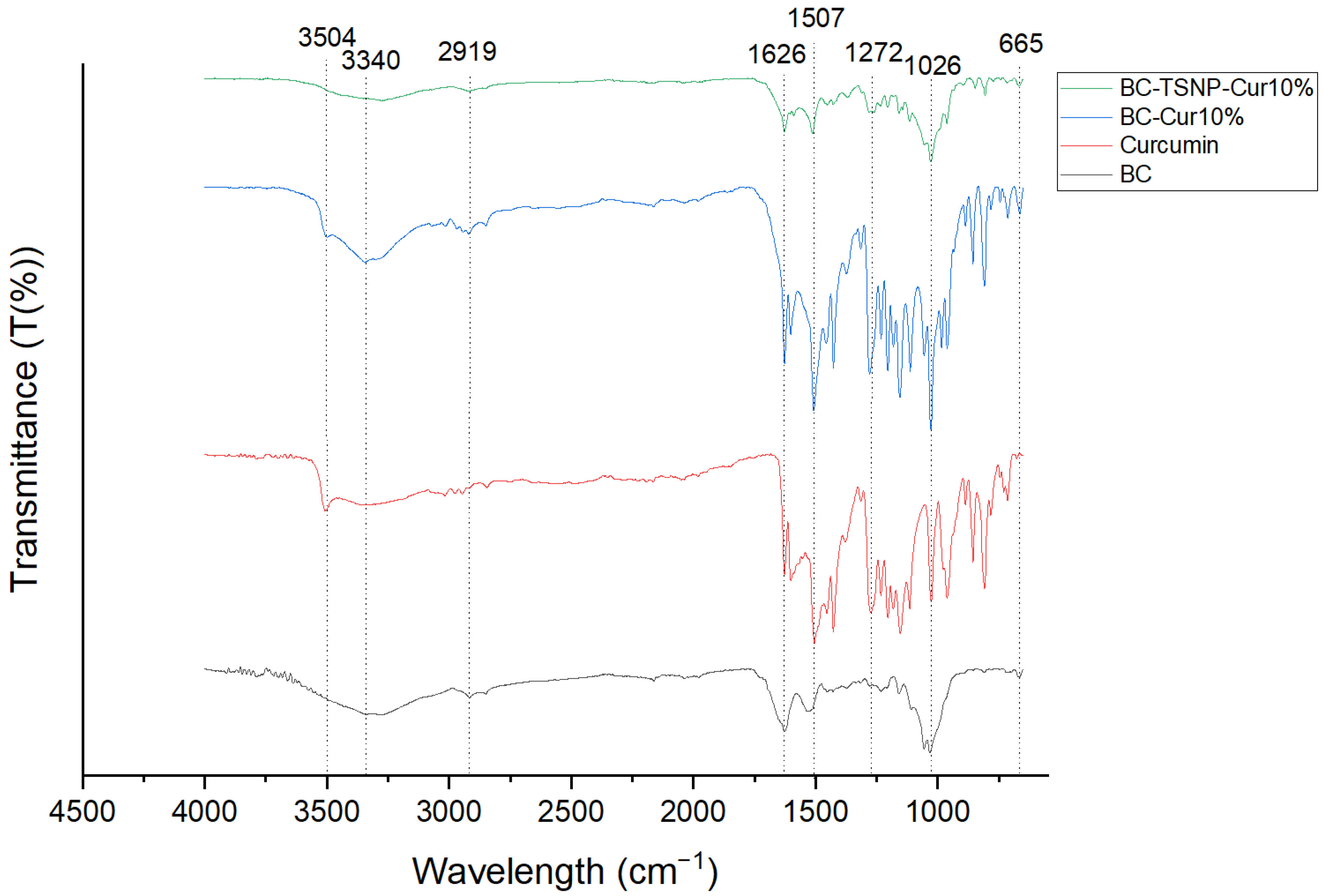 Ijms 23 12198 g006 Ijms 23 12198 g006