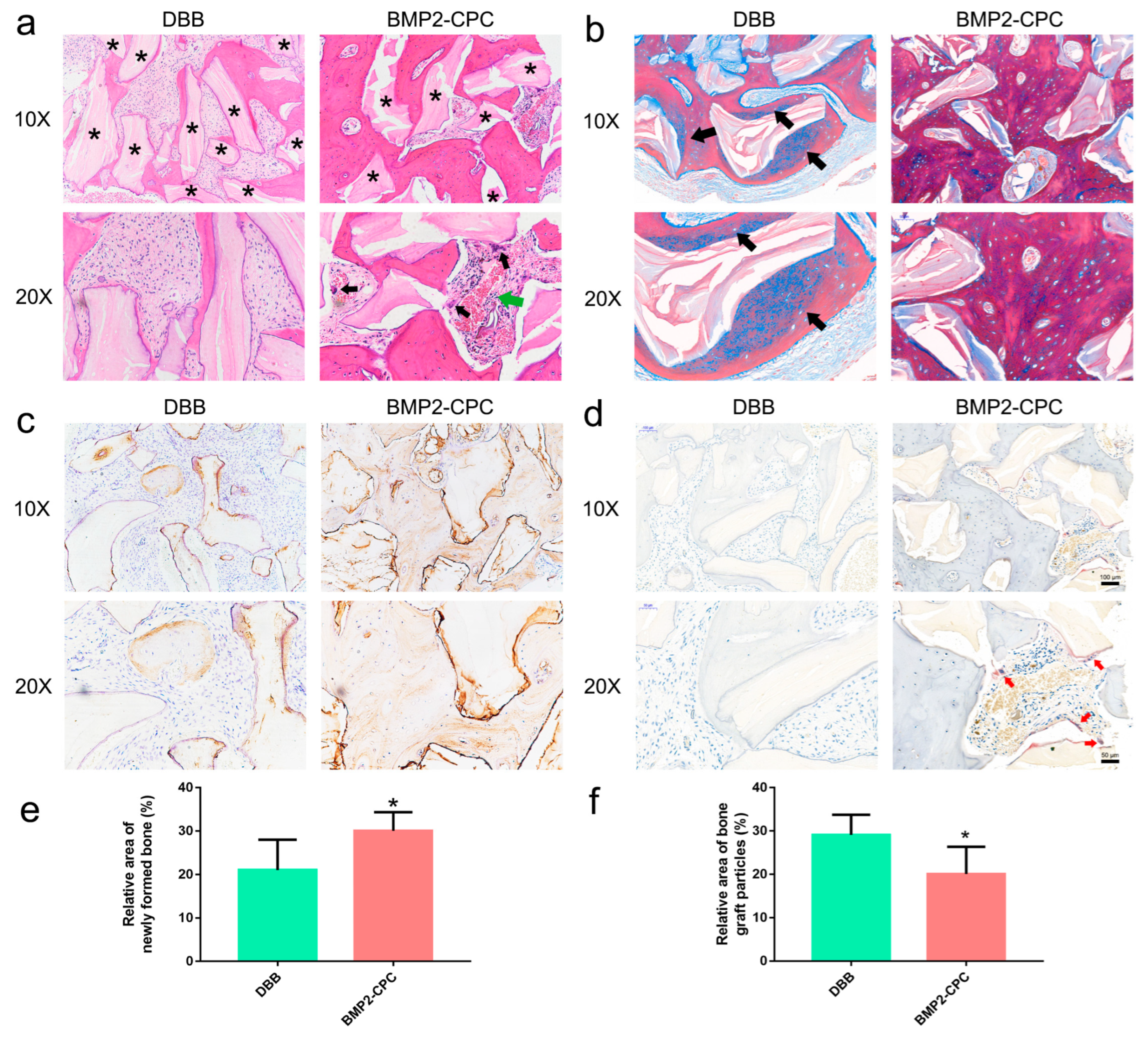 Ijms 23 12204 g002 Ijms 23 12204 g002
