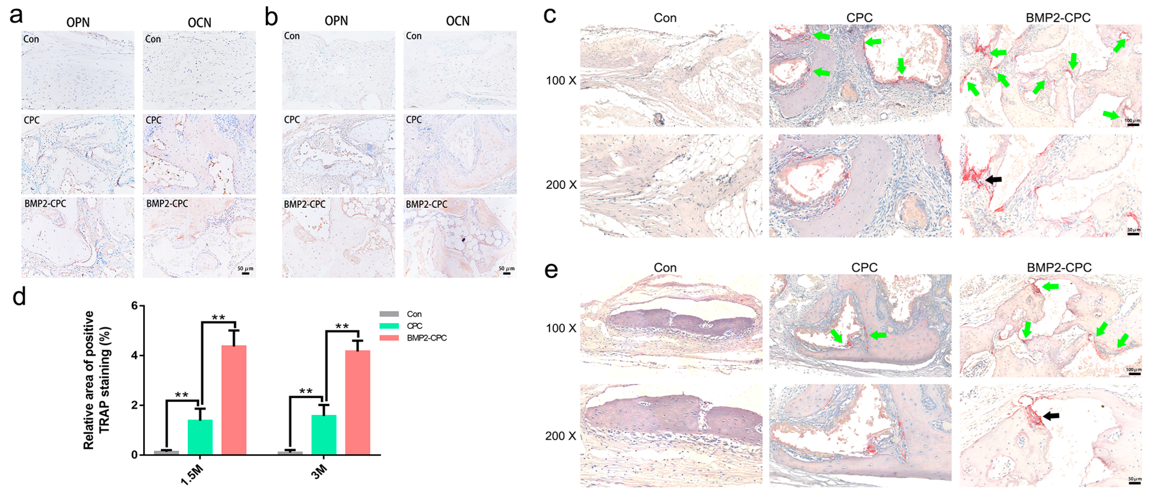 Ijms 23 12204 g006 Ijms 23 12204 g006