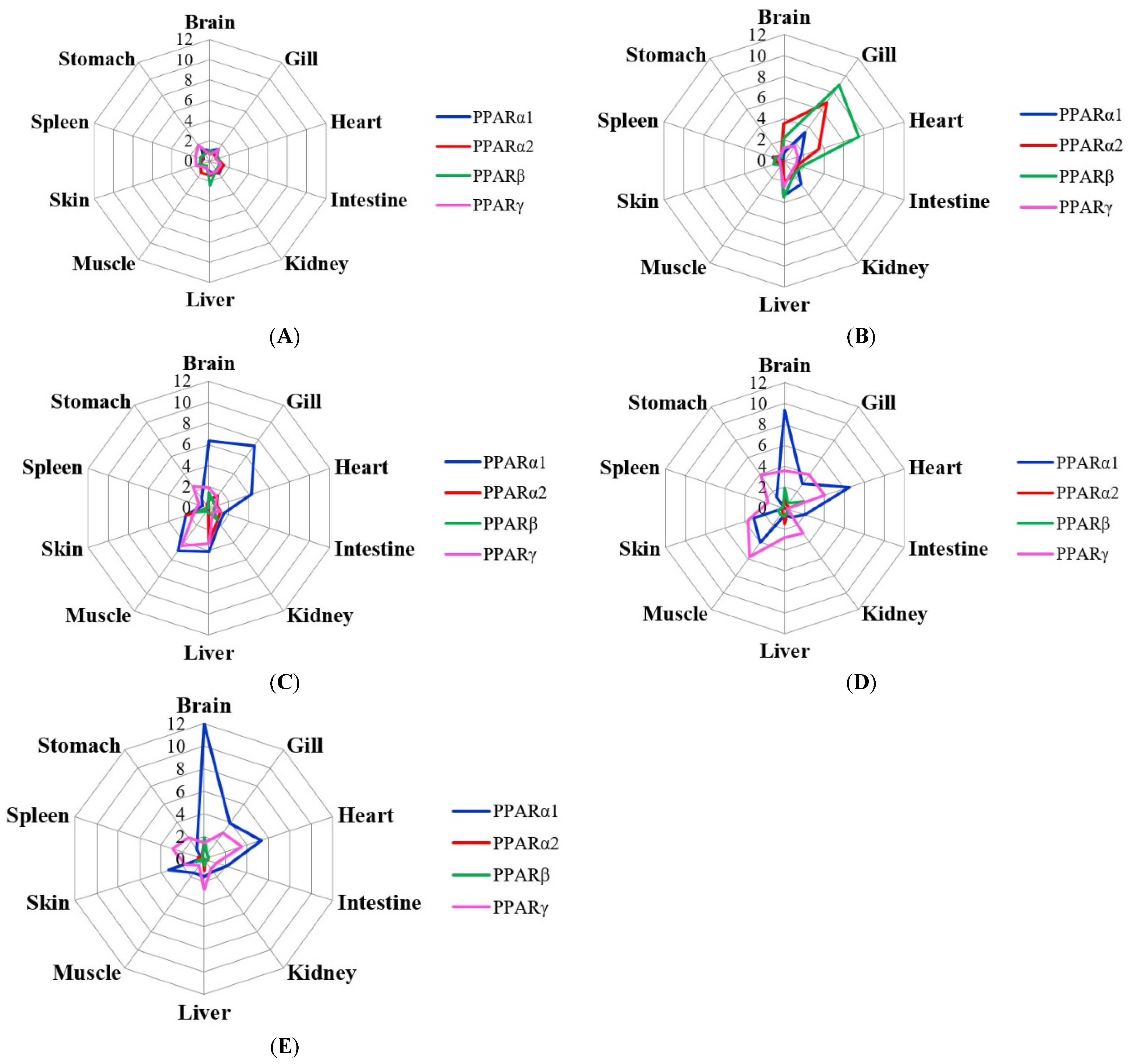 Ijms 23 12205 g001 Ijms 23 12205 g001