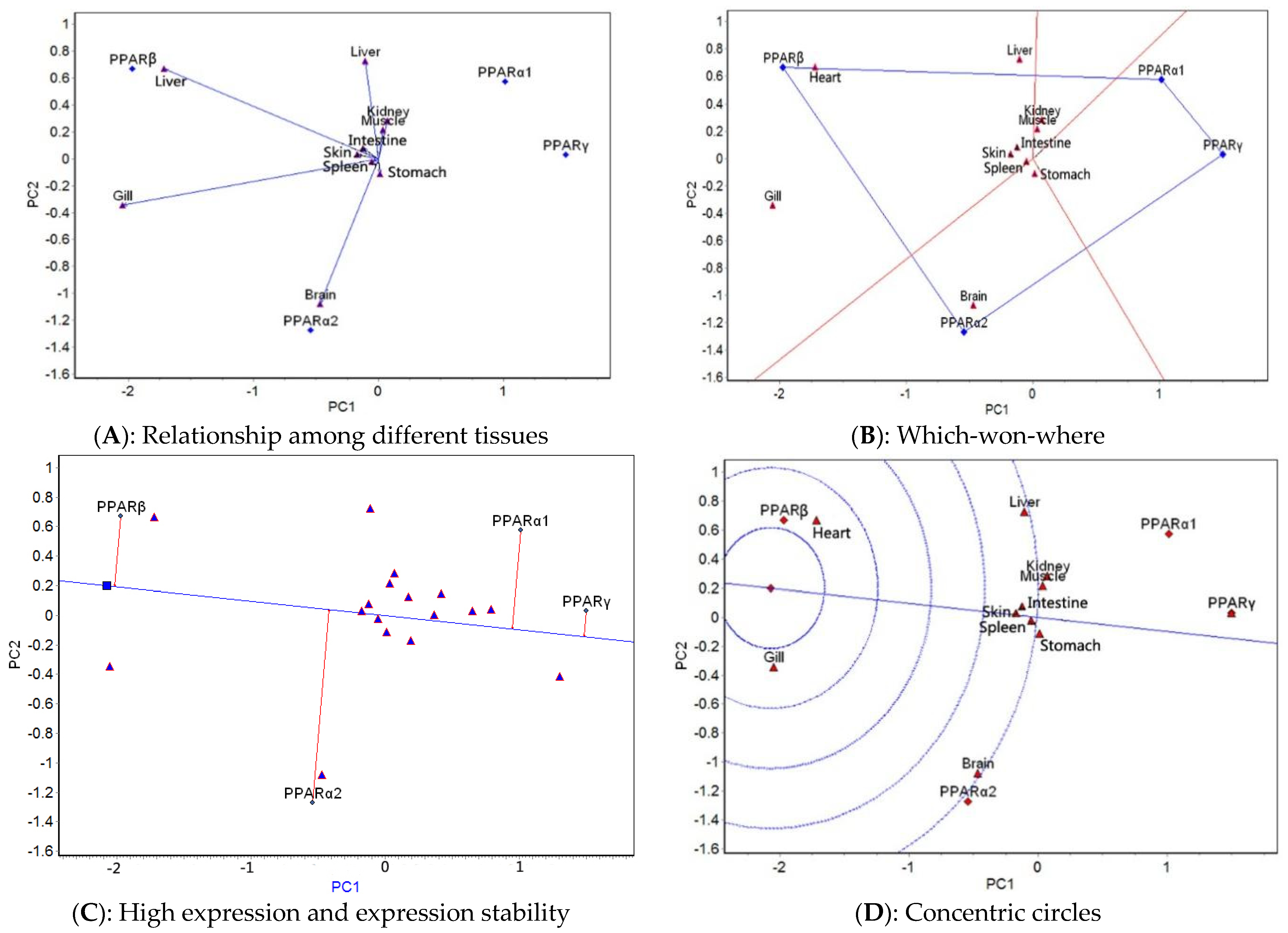 Ijms 23 12205 g004 Ijms 23 12205 g004