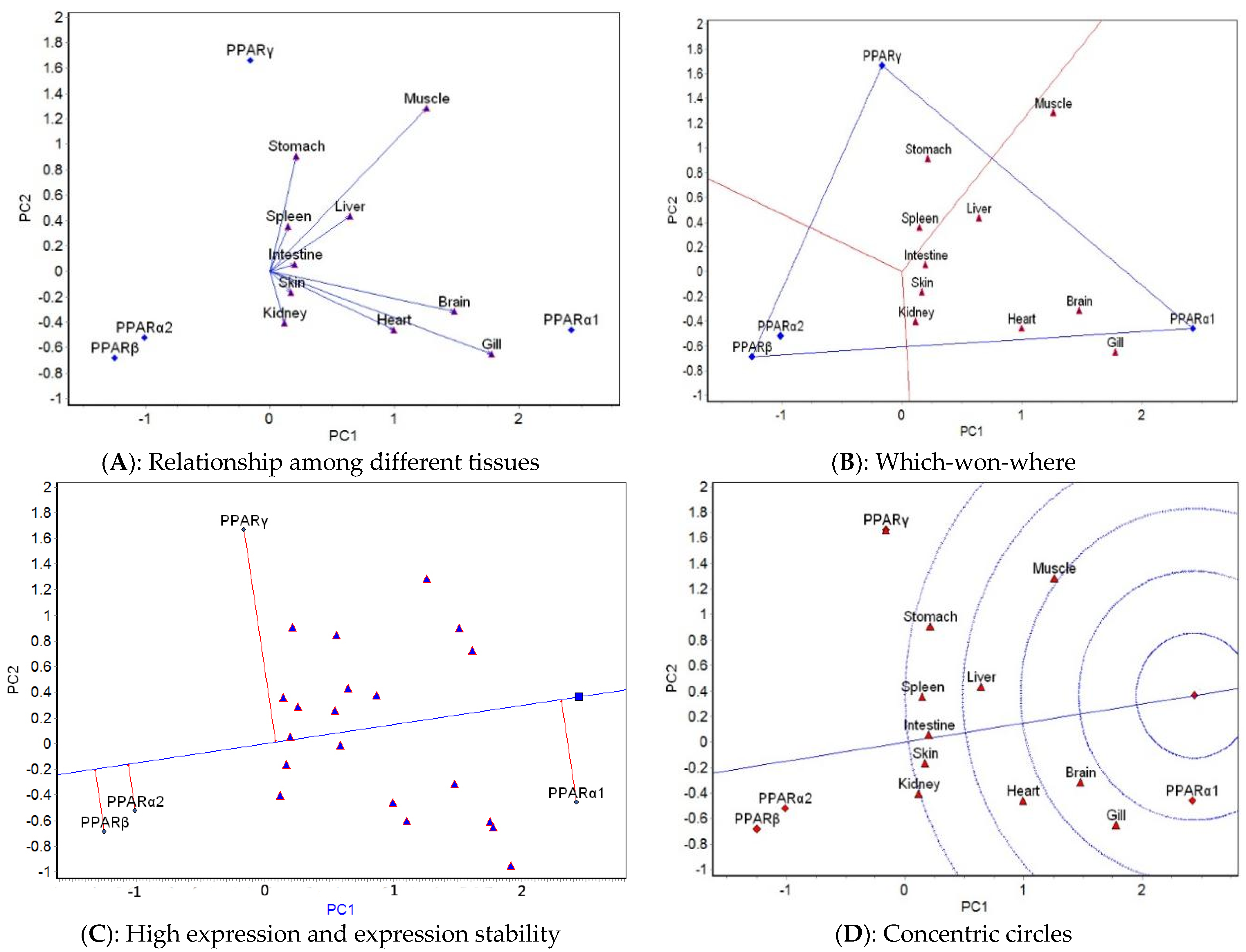 Ijms 23 12205 g005 Ijms 23 12205 g005