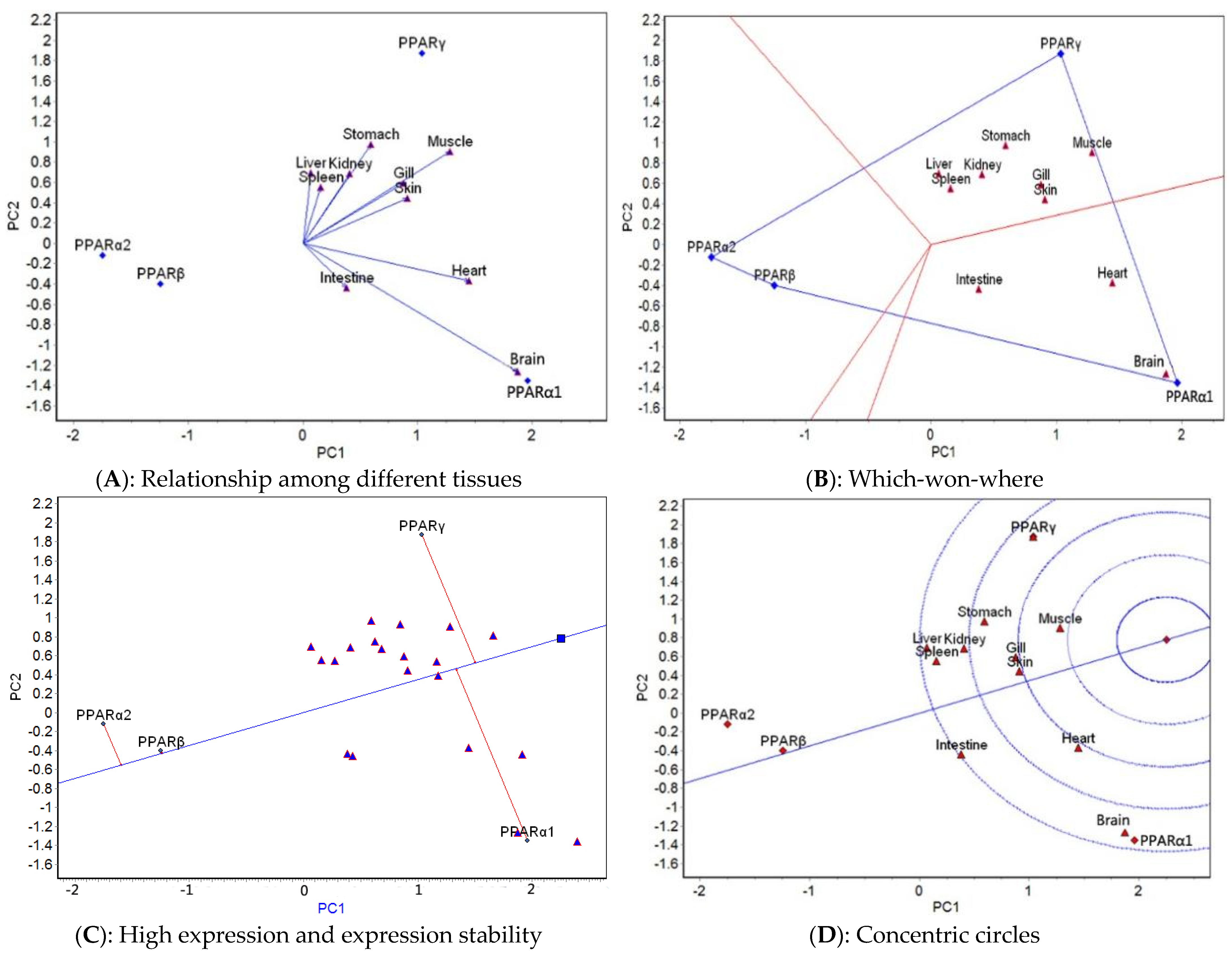 Ijms 23 12205 g006 Ijms 23 12205 g006