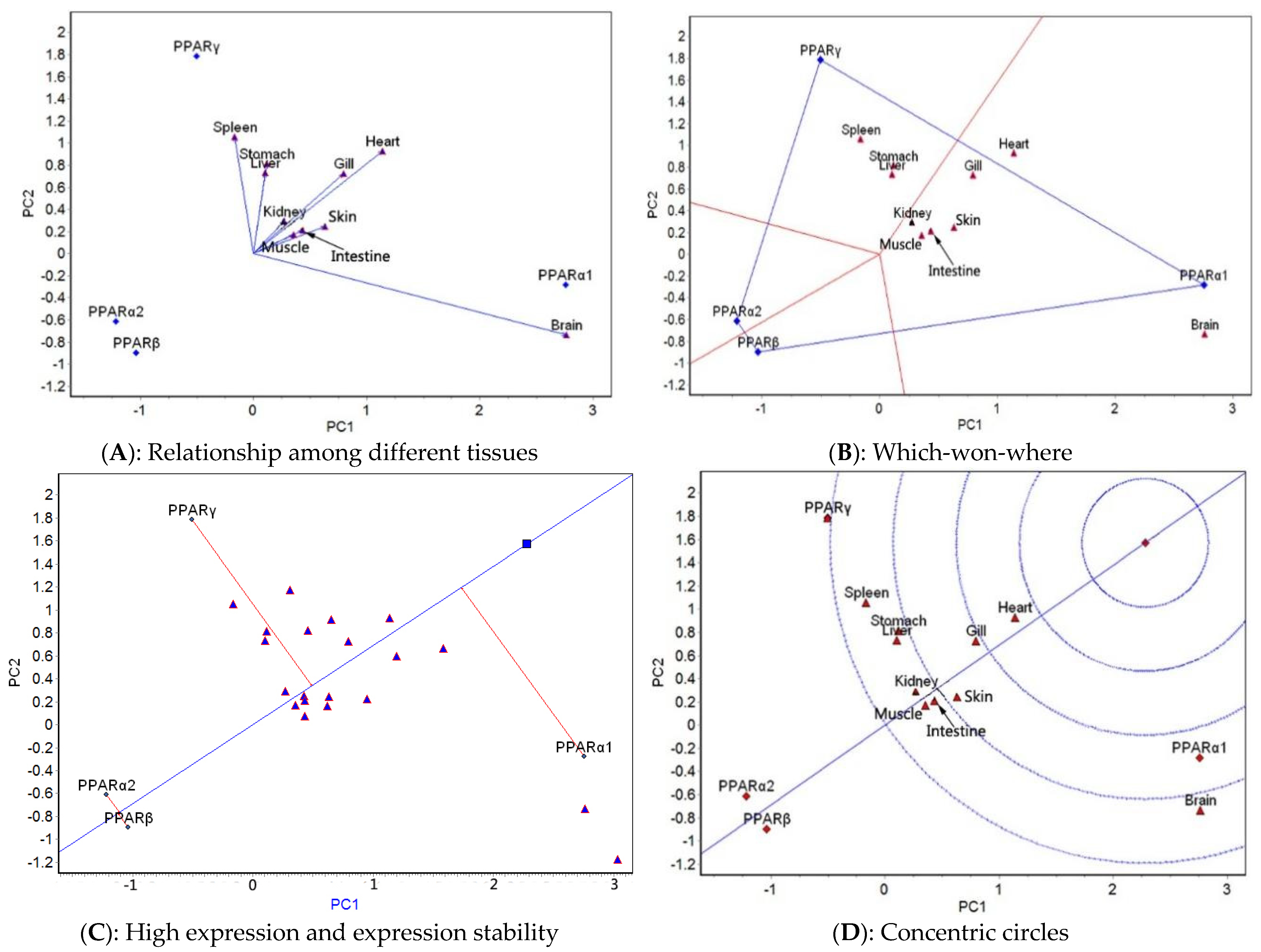 Ijms 23 12205 g007 Ijms 23 12205 g007