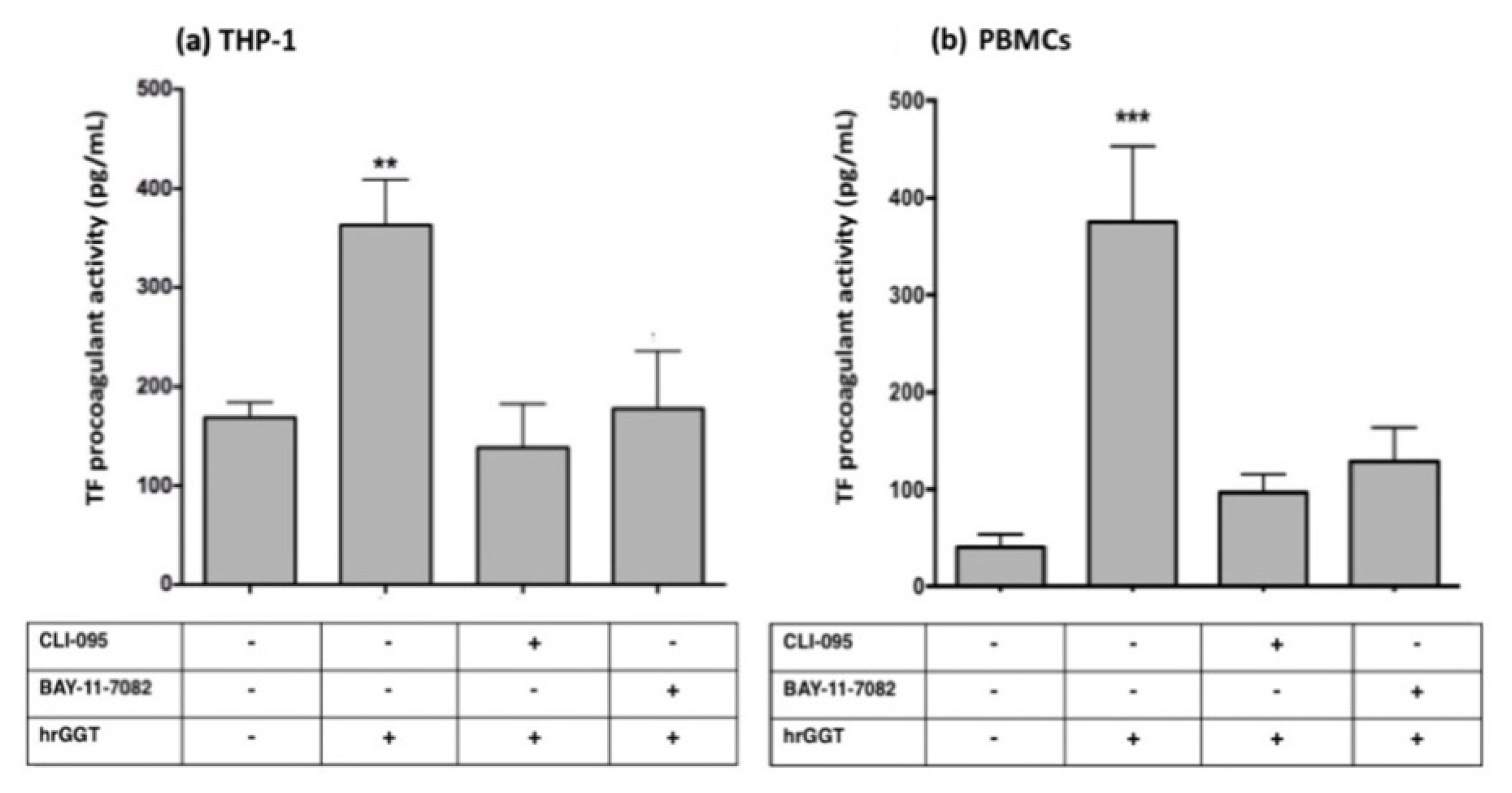 Ijms 23 12207 g008 Ijms 23 12207 g008