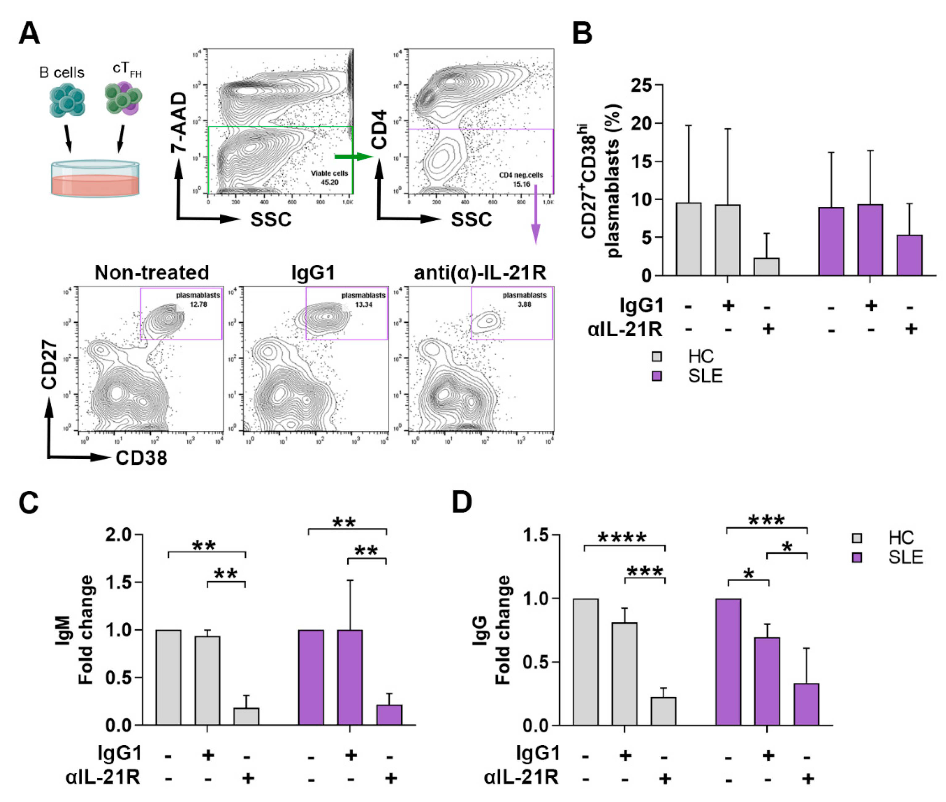 Ijms 23 12209 g004 Ijms 23 12209 g004
