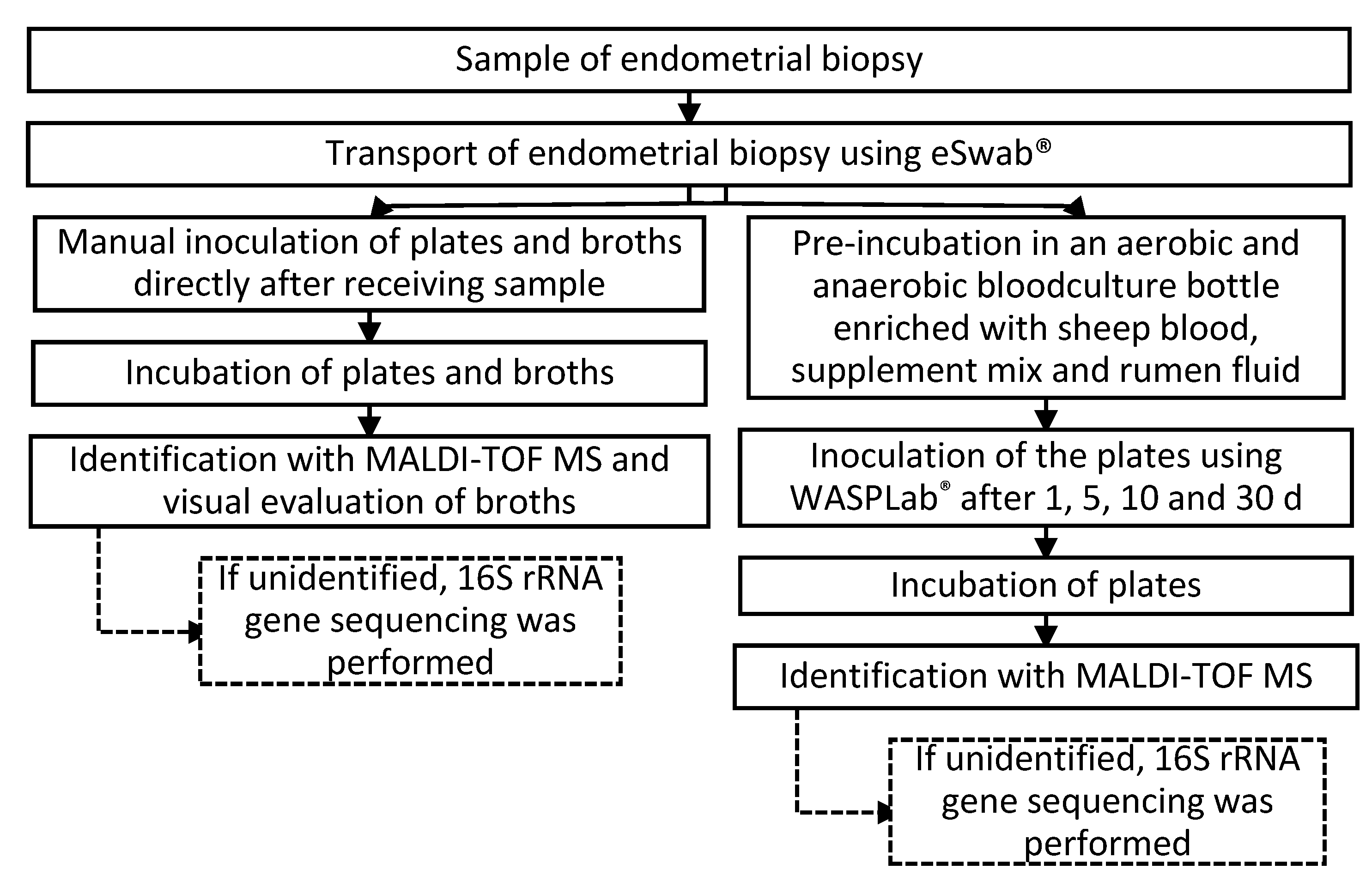 Ijms 23 12212 g007 Ijms 23 12212 g007