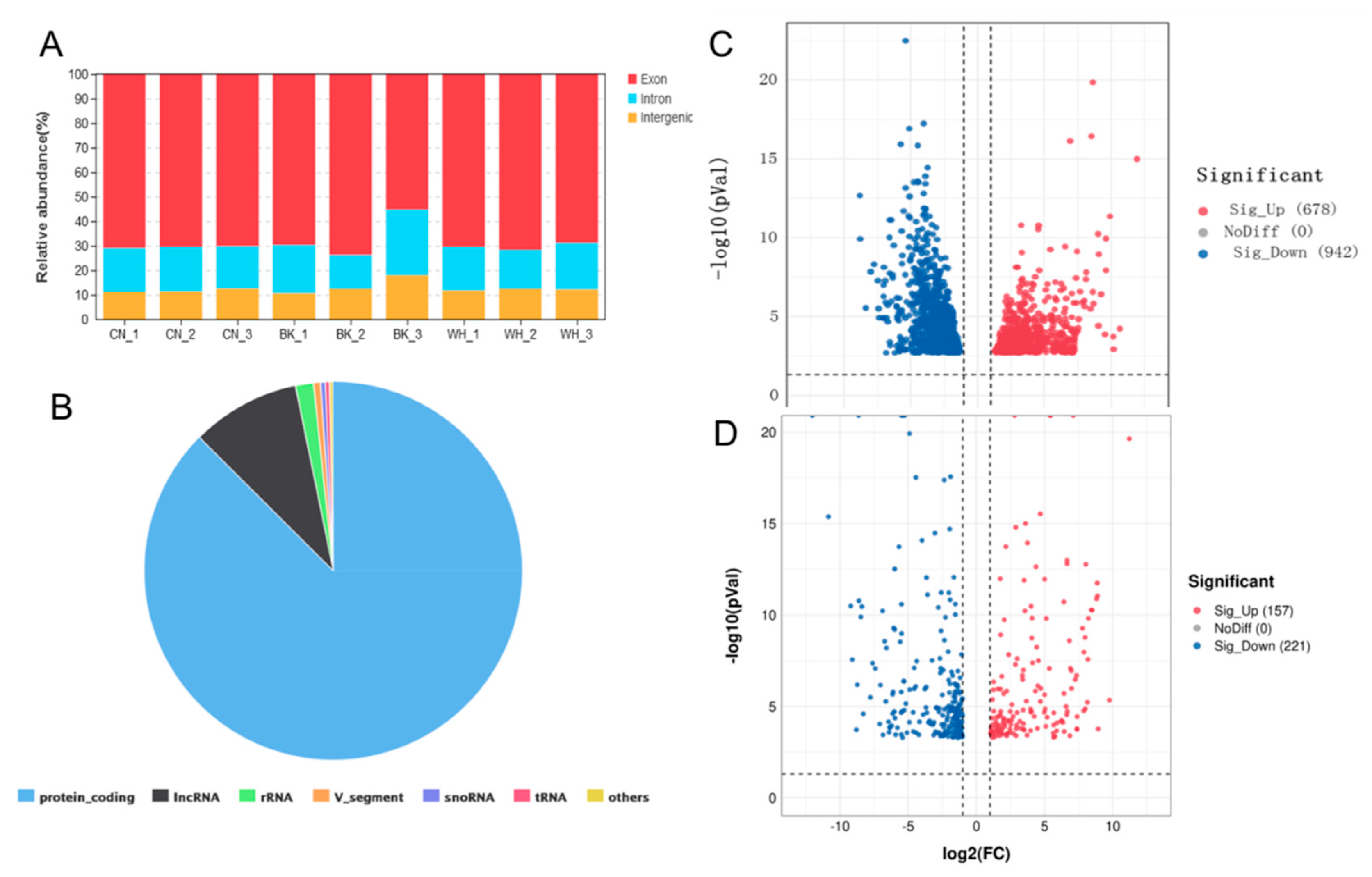 Ijms 23 12214 g002 Ijms 23 12214 g002