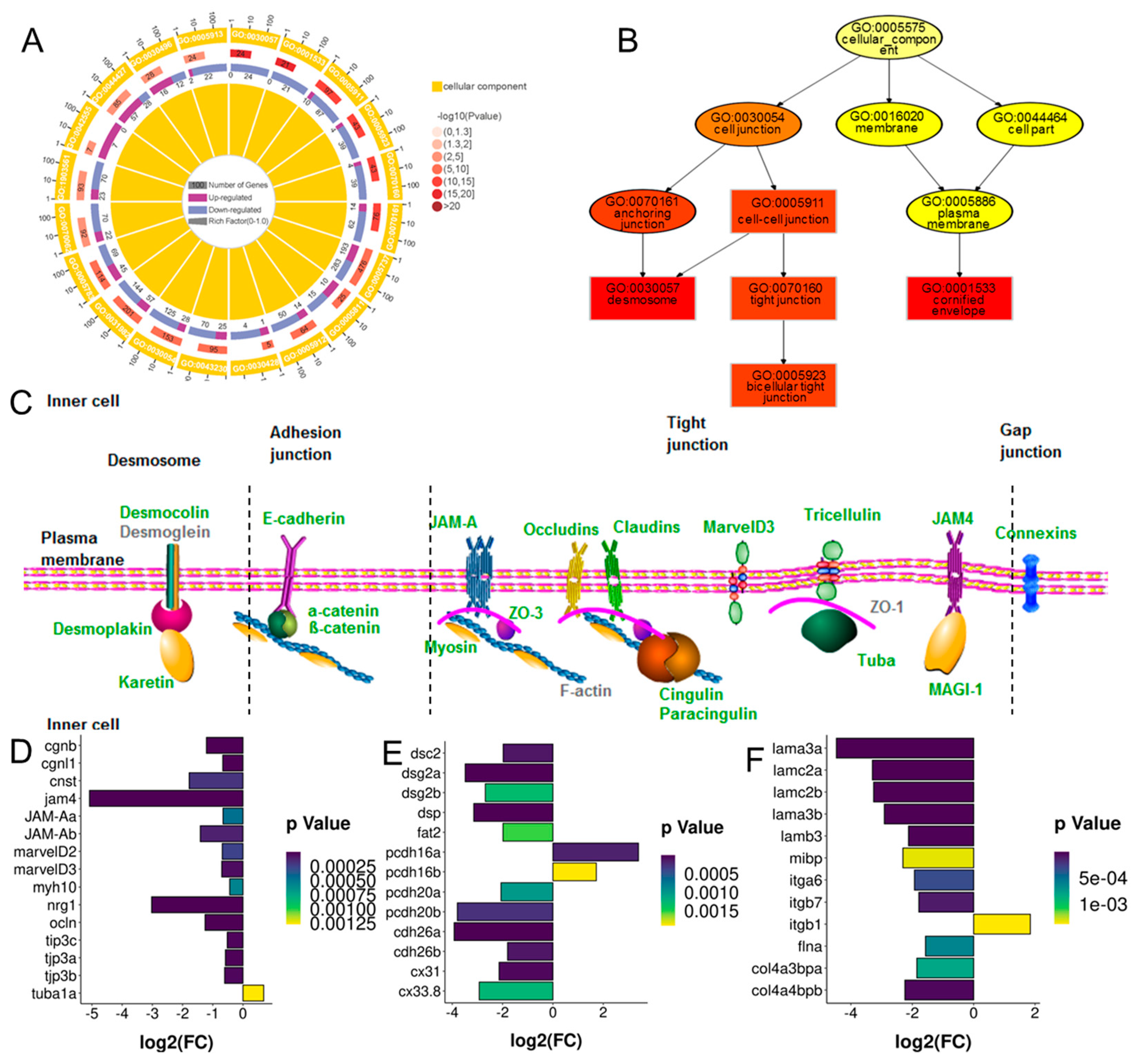 Ijms 23 12214 g003 Ijms 23 12214 g003