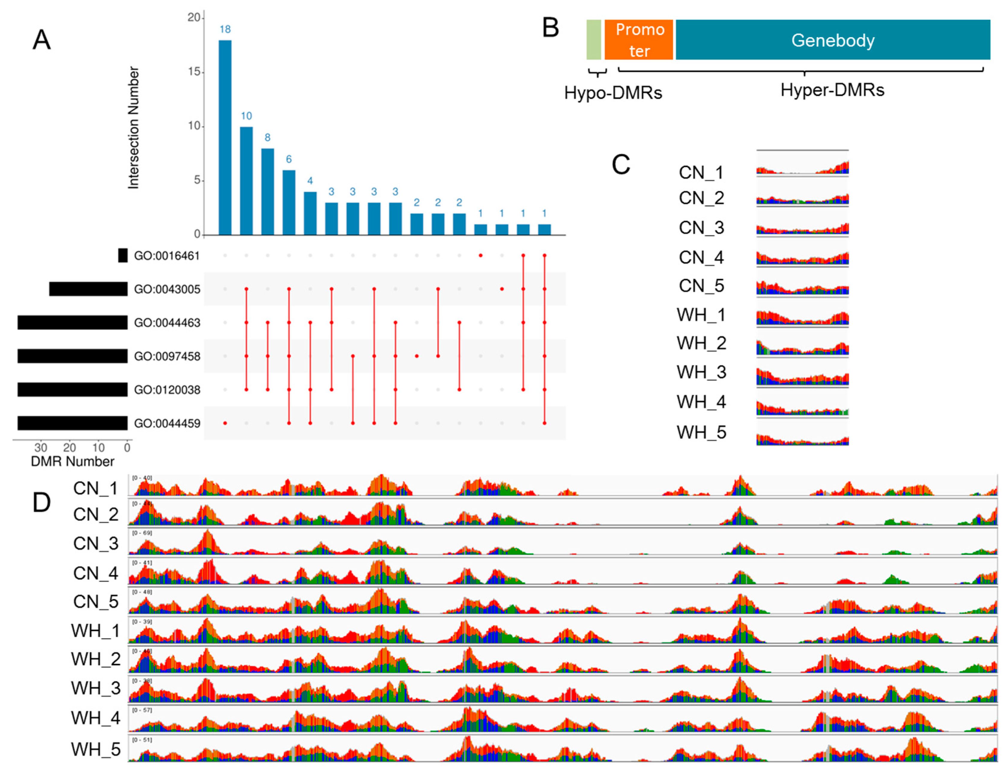 Ijms 23 12214 g004 Ijms 23 12214 g004