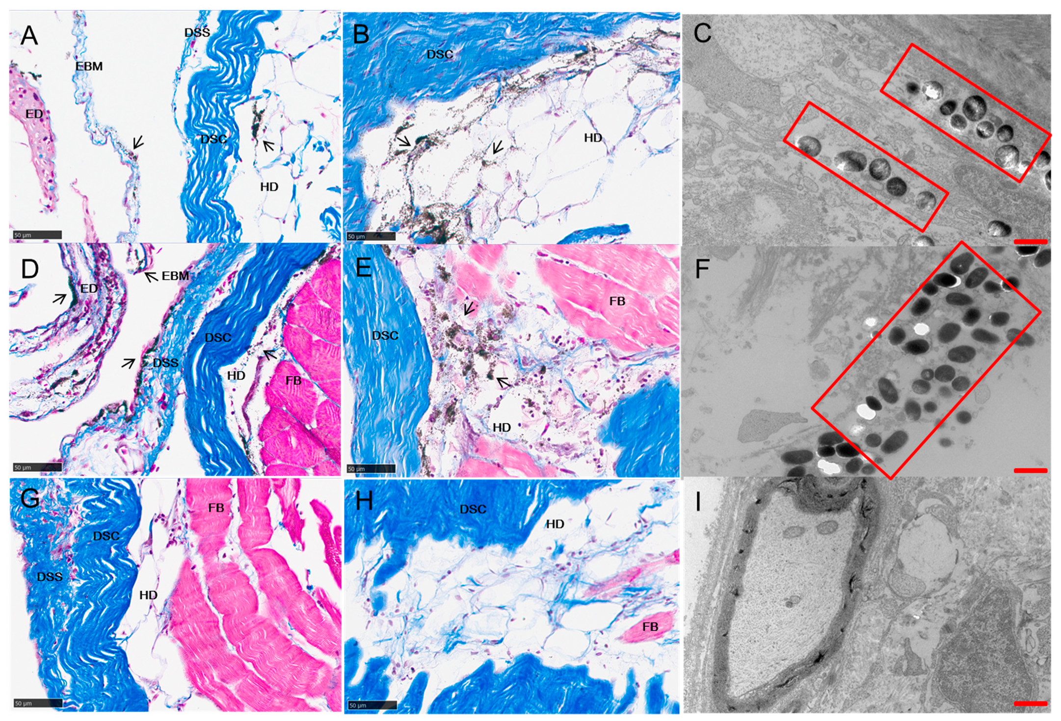Ijms 23 12214 g007 Ijms 23 12214 g007