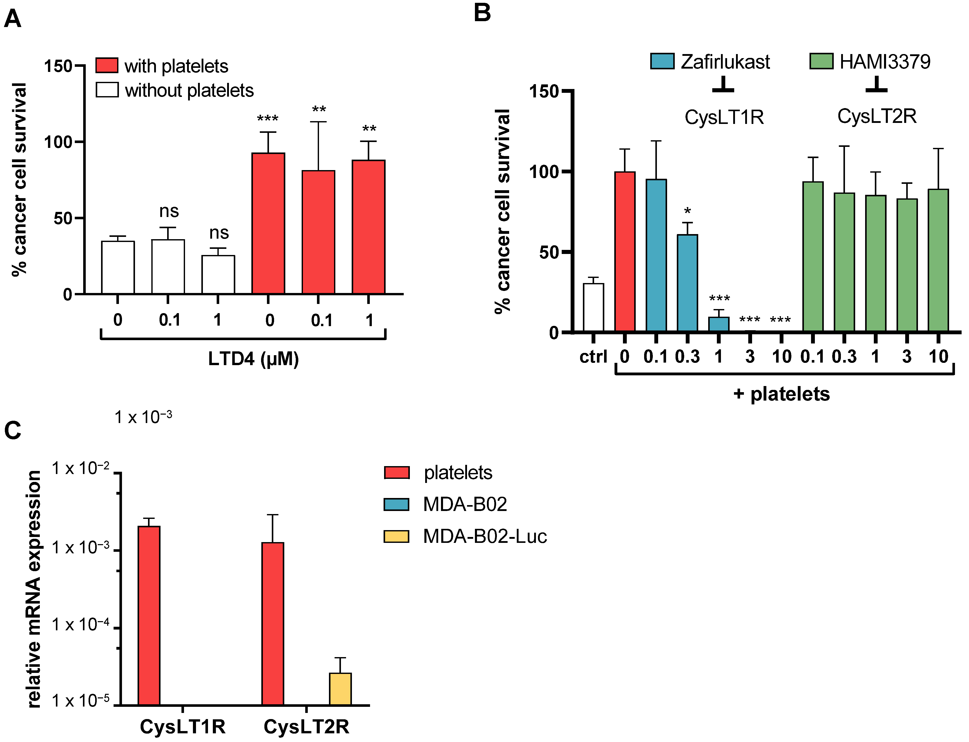 Ijms 23 12221 g003 Ijms 23 12221 g003