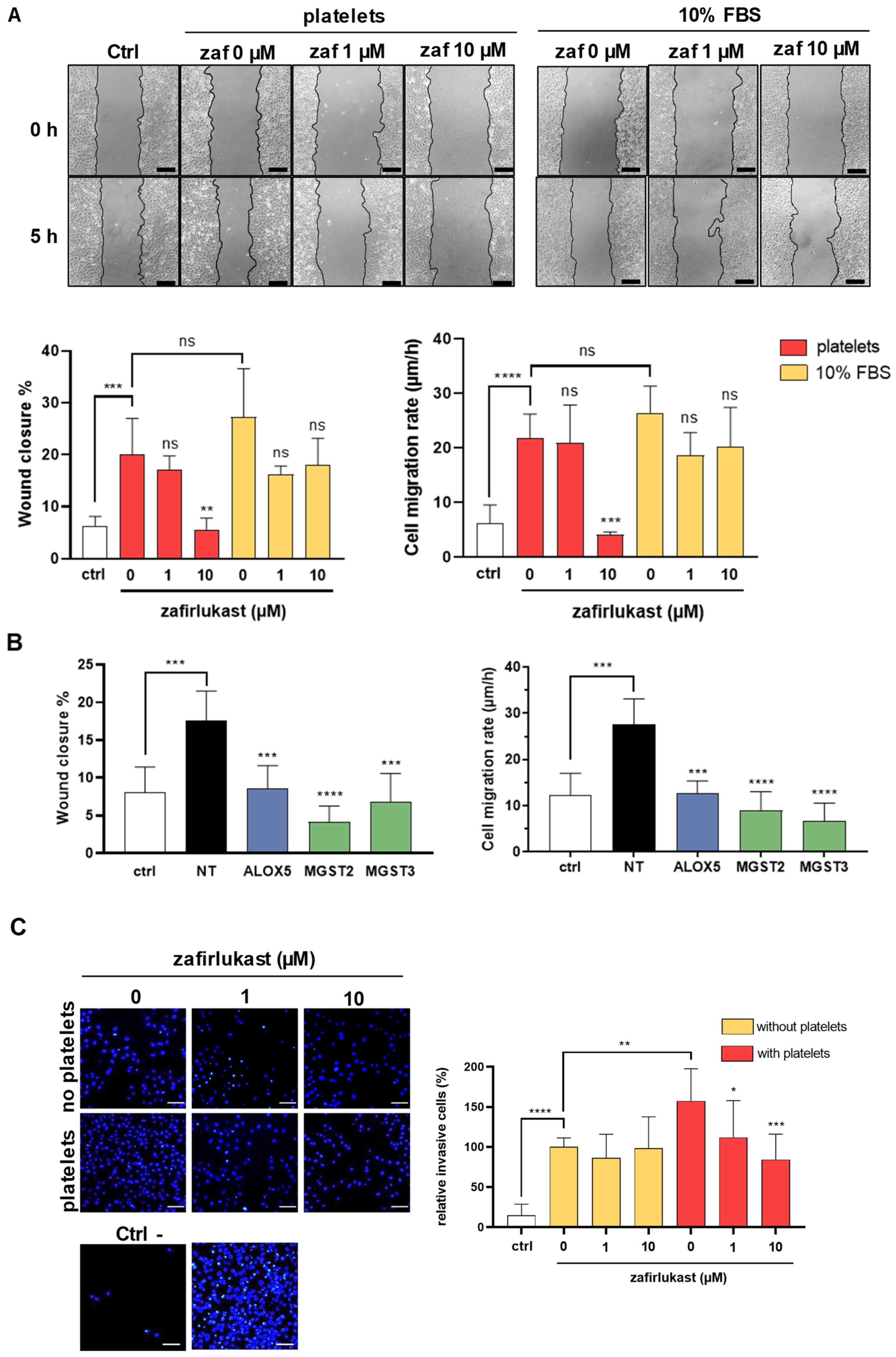 Ijms 23 12221 g005 Ijms 23 12221 g005