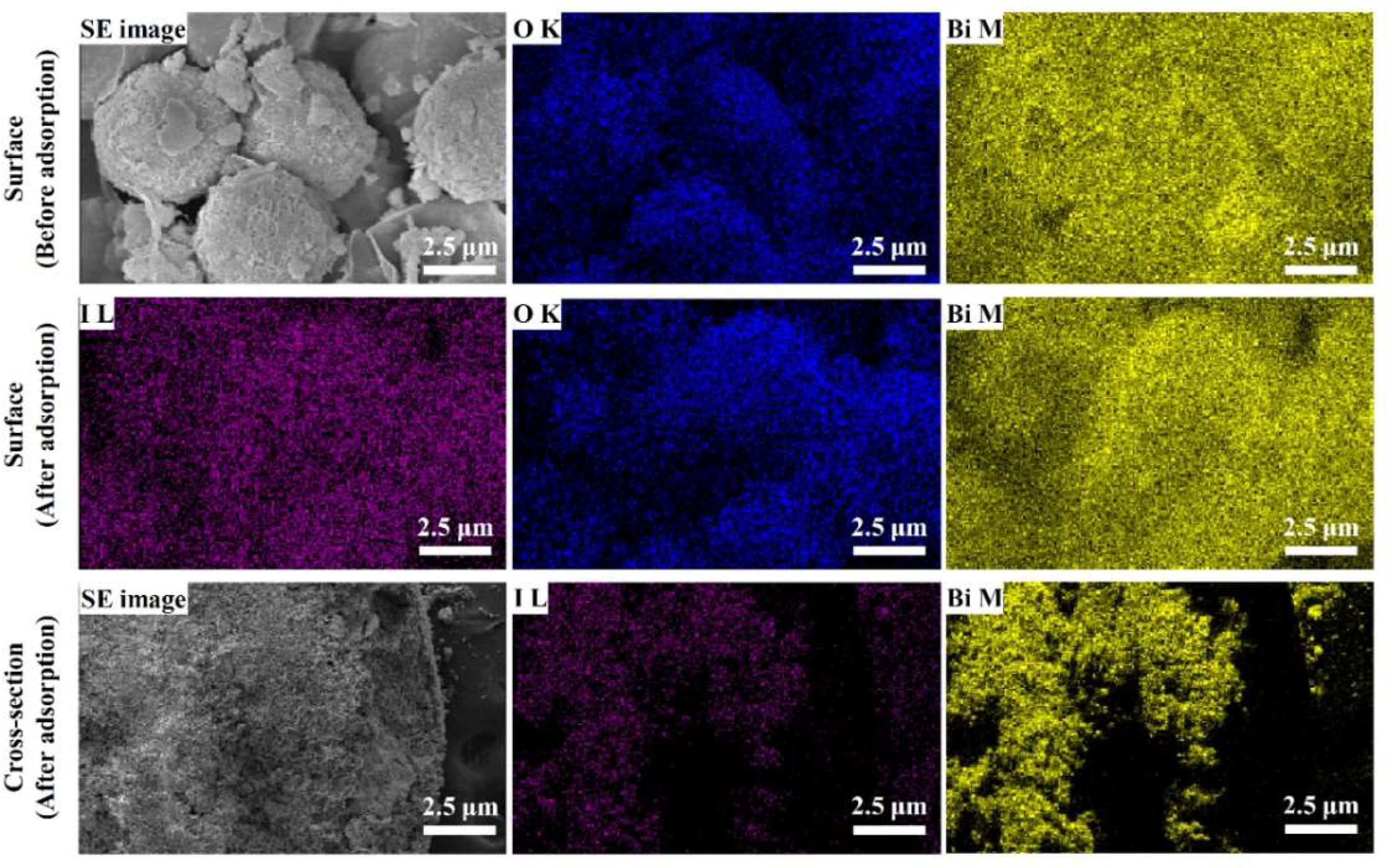 Ijms 23 12225 g009 Ijms 23 12225 g009