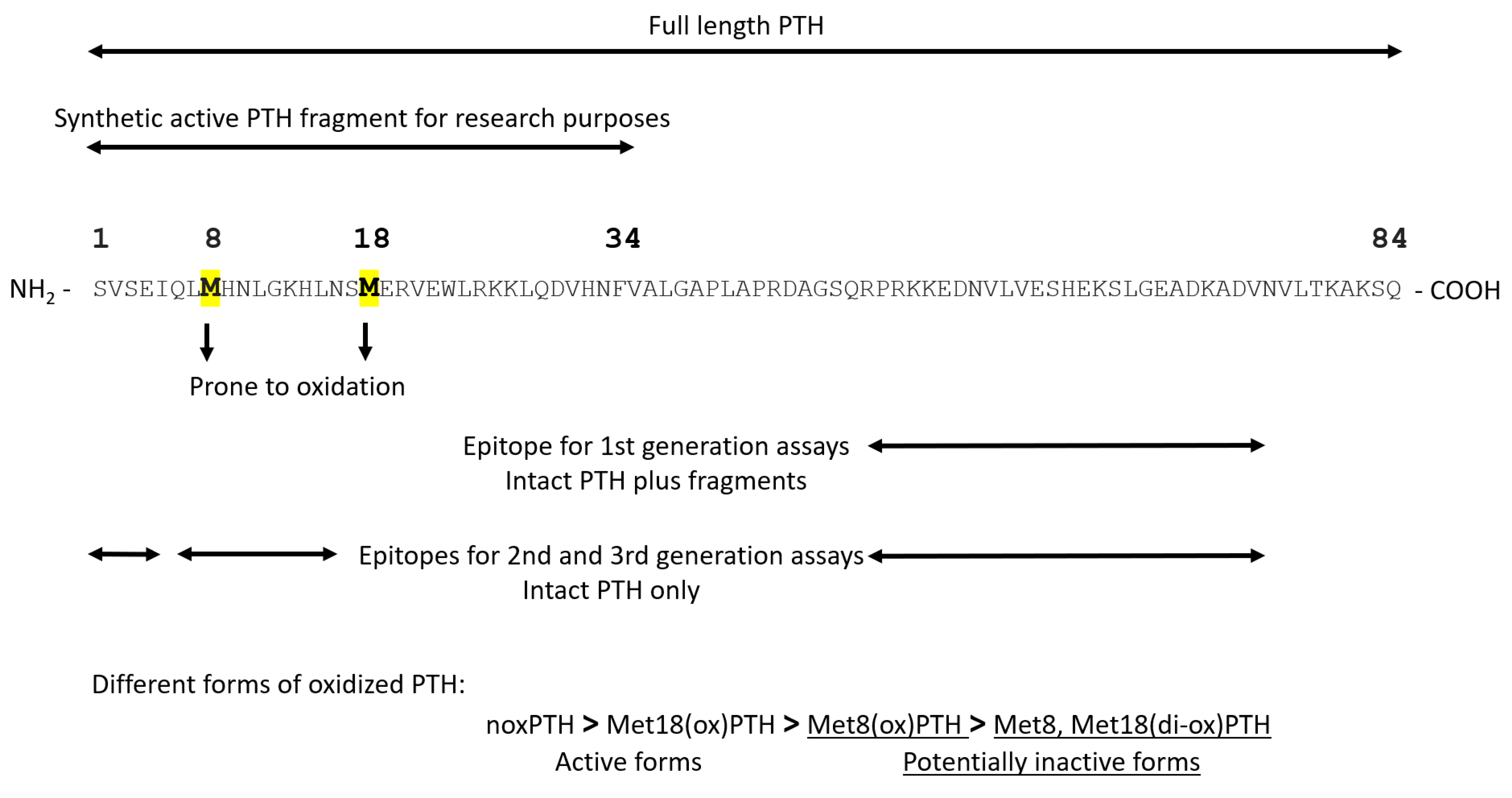 Ijms 23 12228 g003 Ijms 23 12228 g003