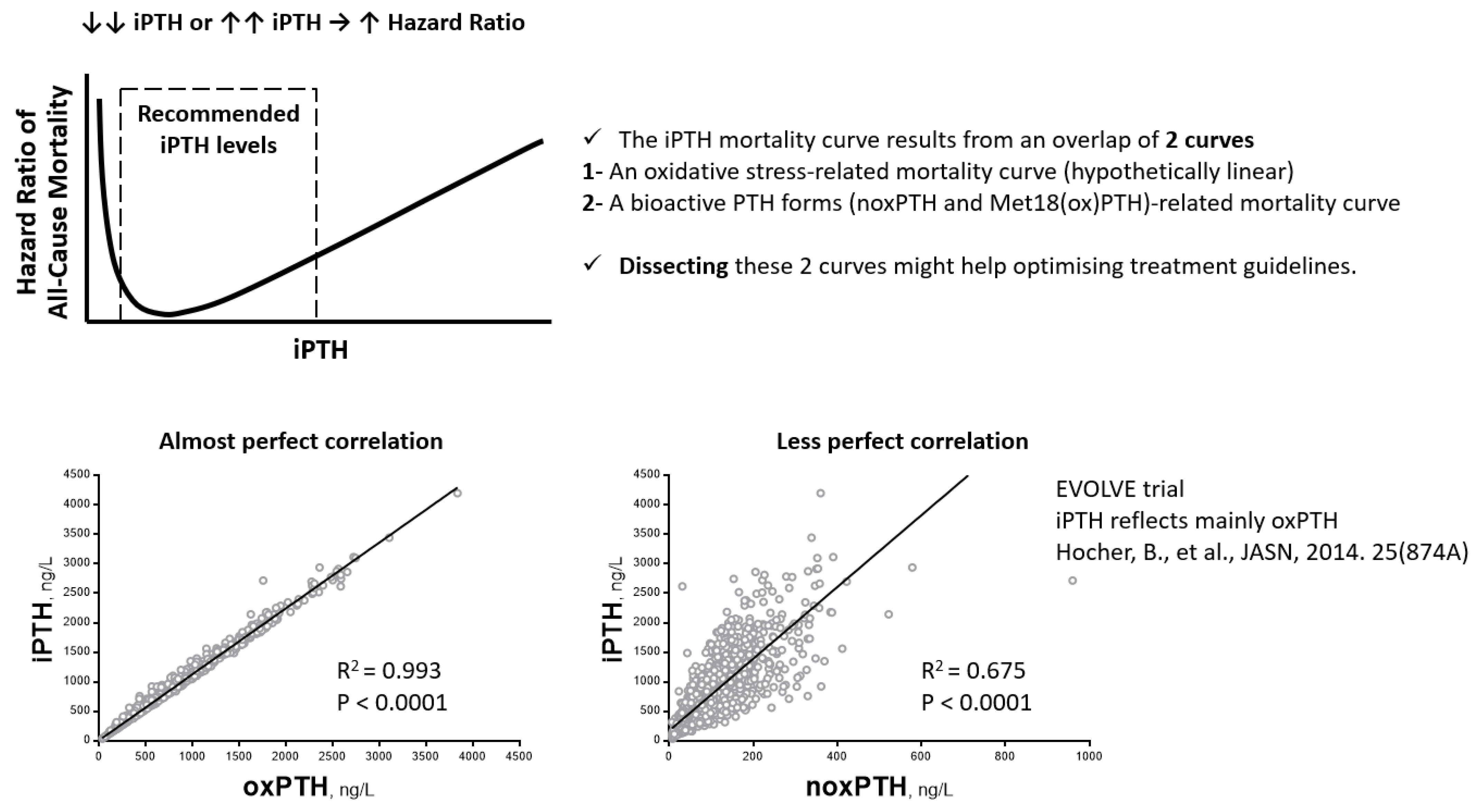 Ijms 23 12228 g004 Ijms 23 12228 g004