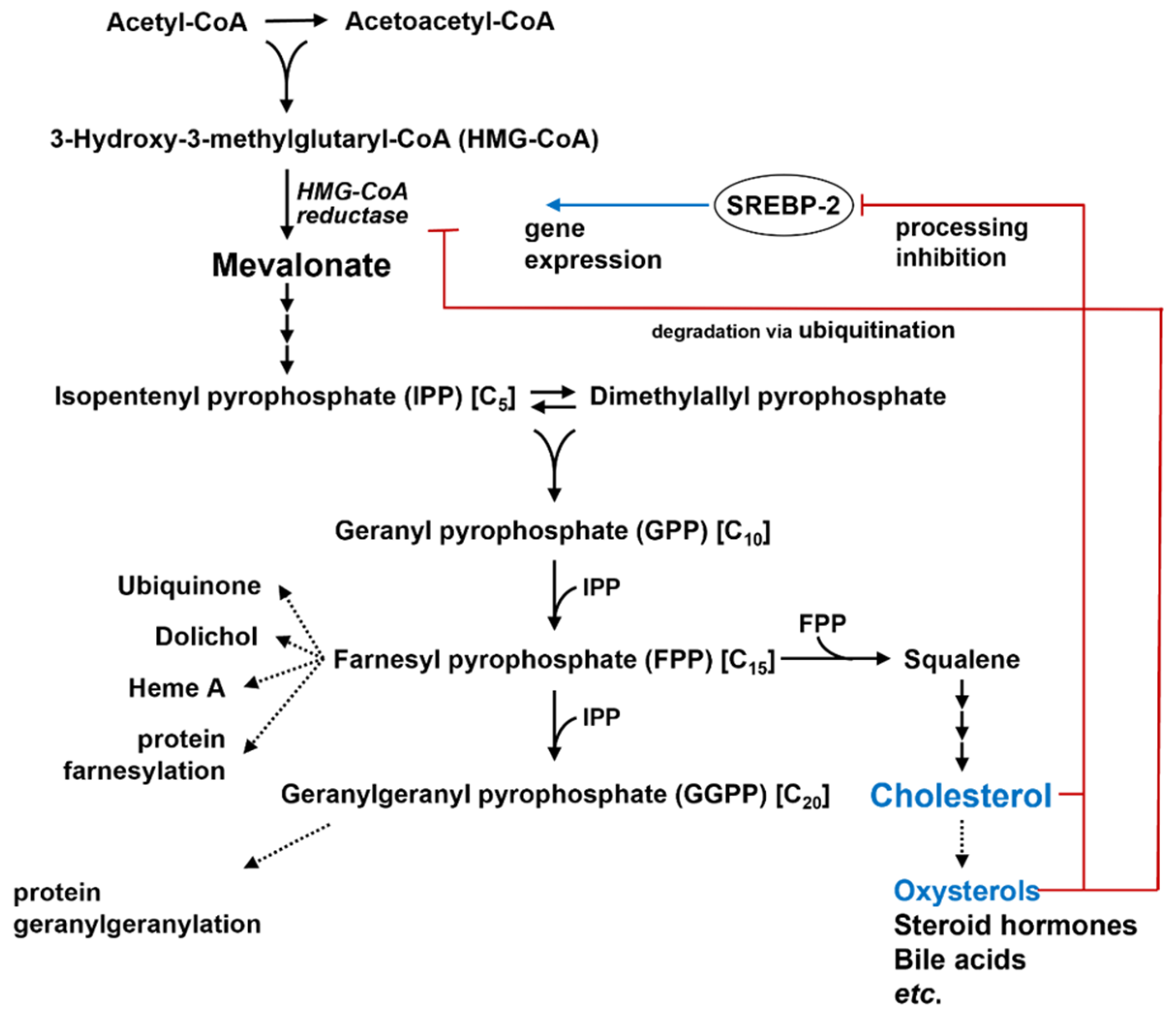 Ijms 23 12236 g001 Ijms 23 12236 g001