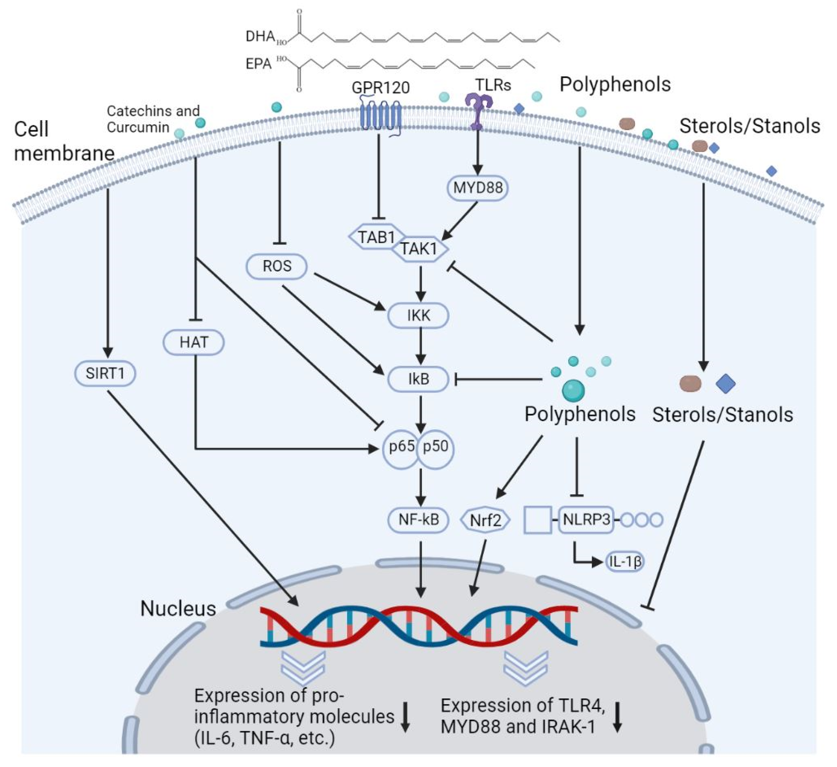 Ijms 23 12236 g004 Ijms 23 12236 g004