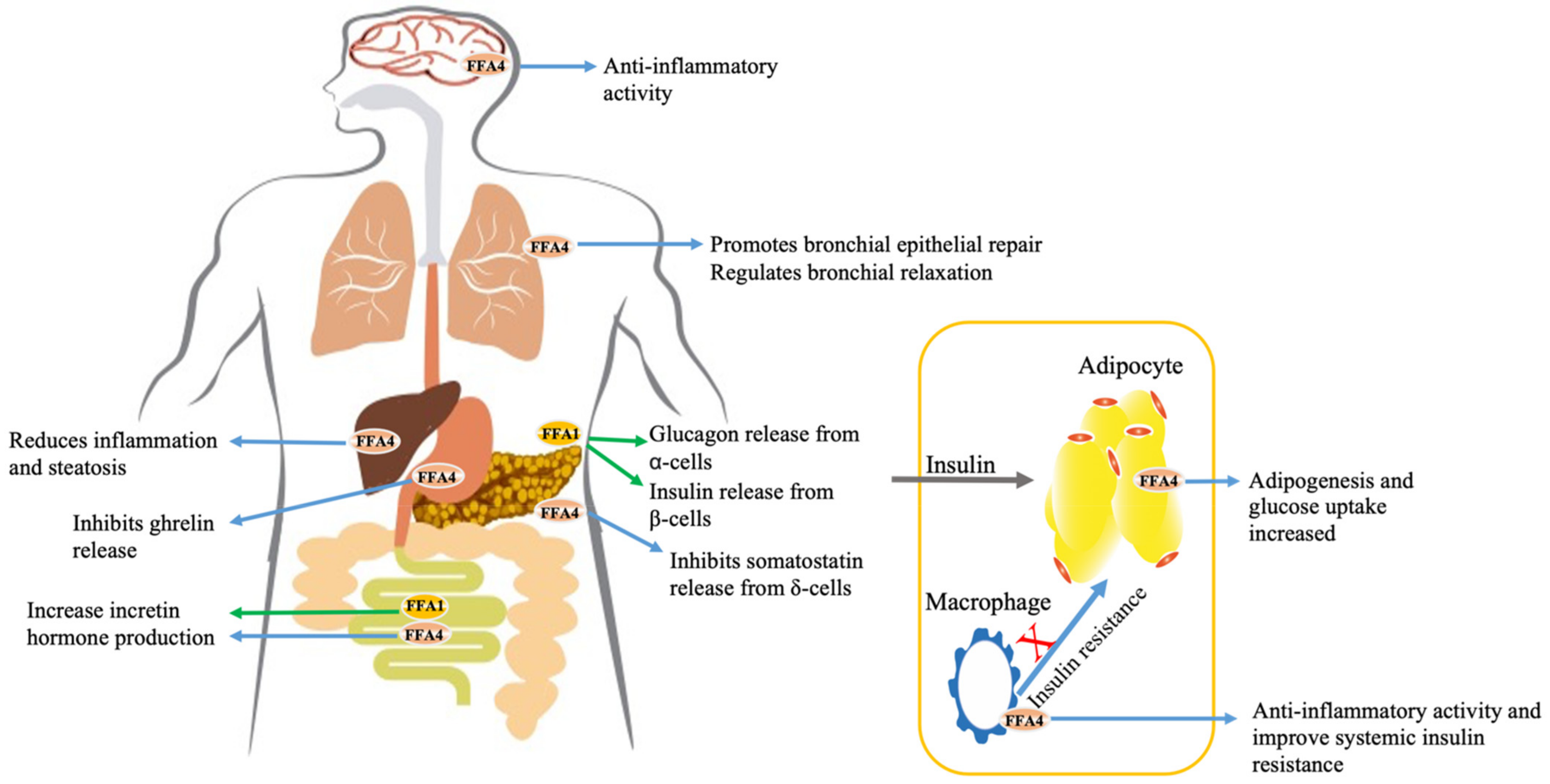 Ijms 23 12237 g001 Ijms 23 12237 g001