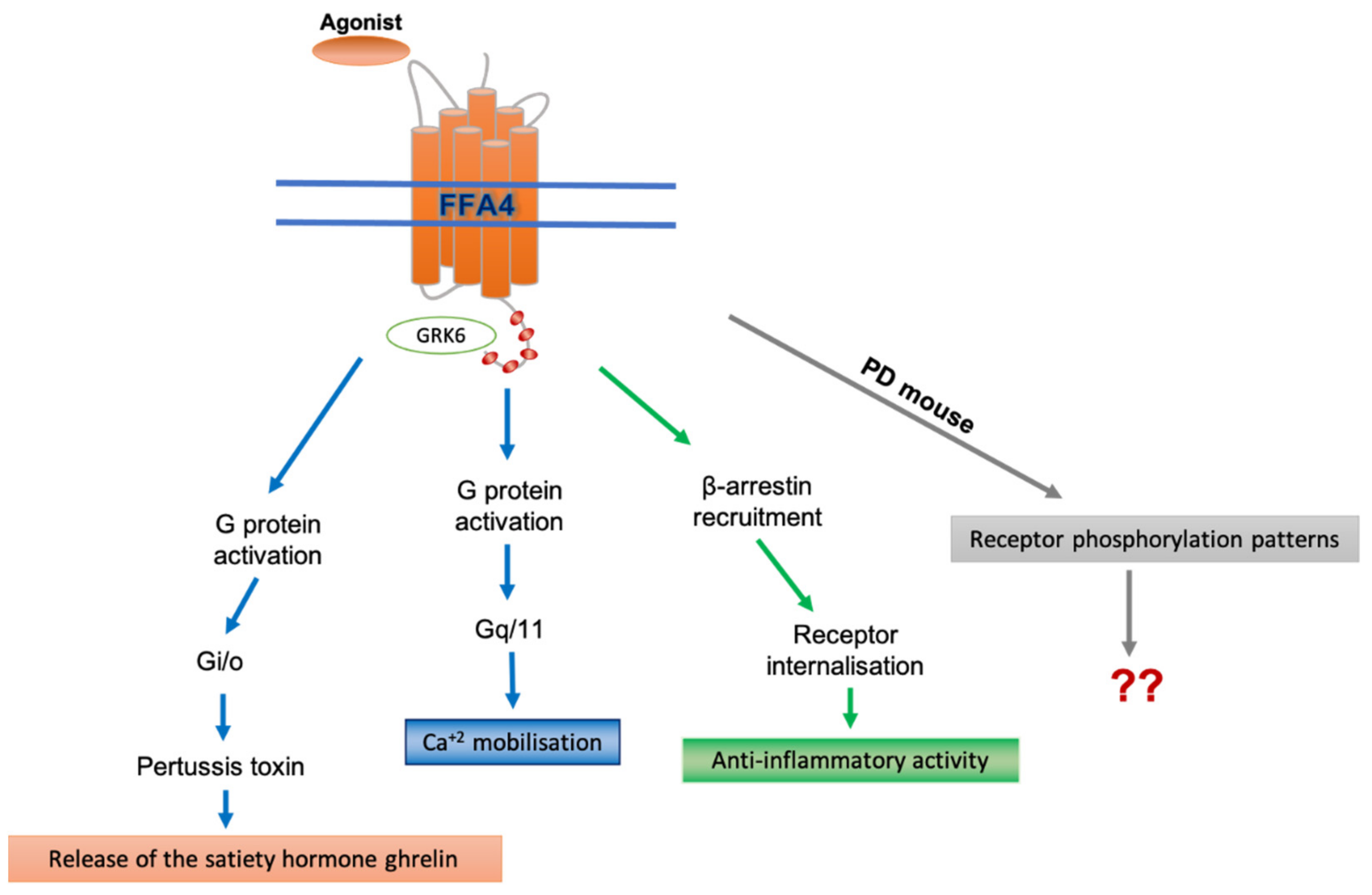 Ijms 23 12237 g003 Ijms 23 12237 g003