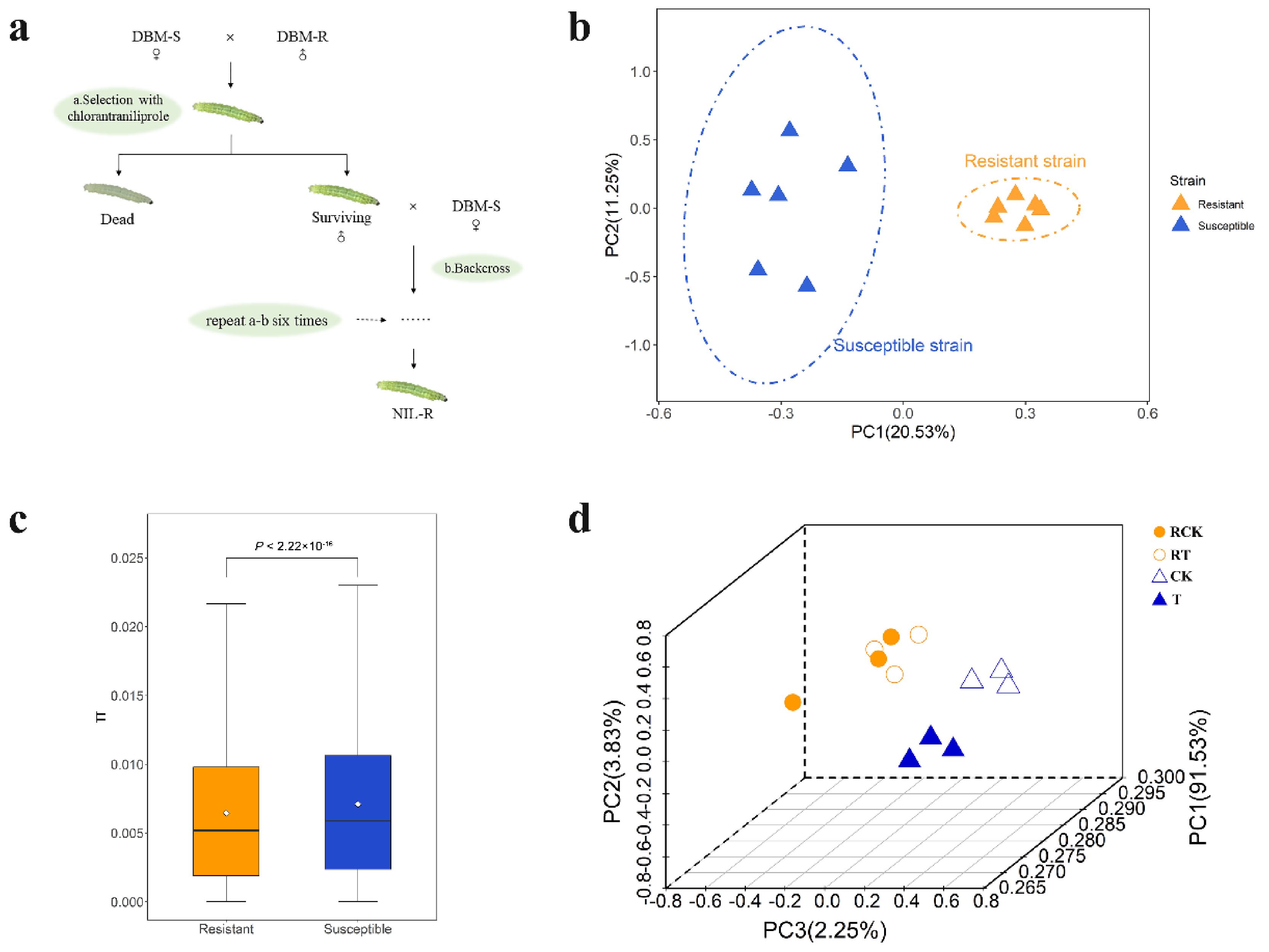 Ijms 23 12245 g001 Ijms 23 12245 g001