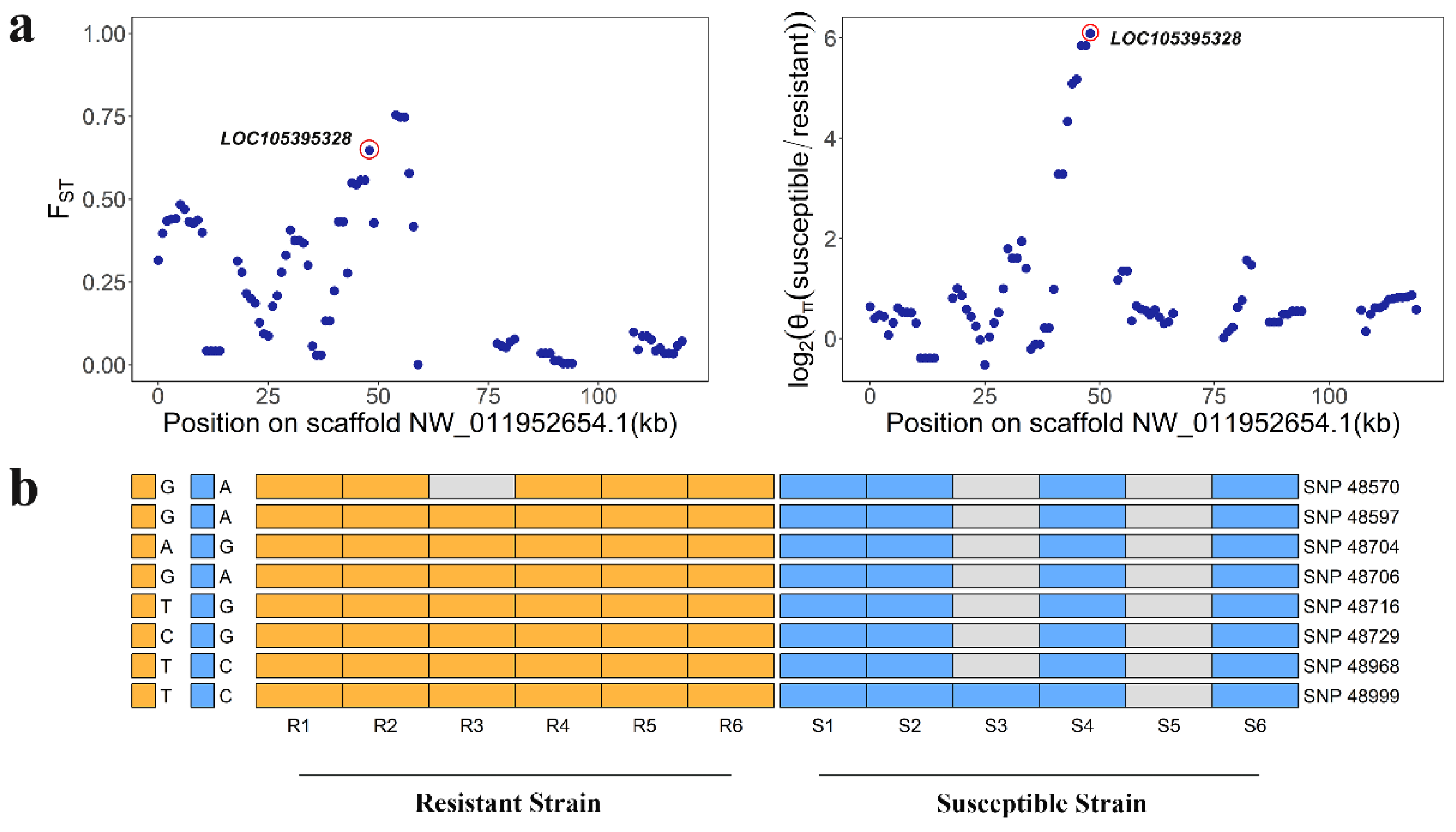 Ijms 23 12245 g004 Ijms 23 12245 g004