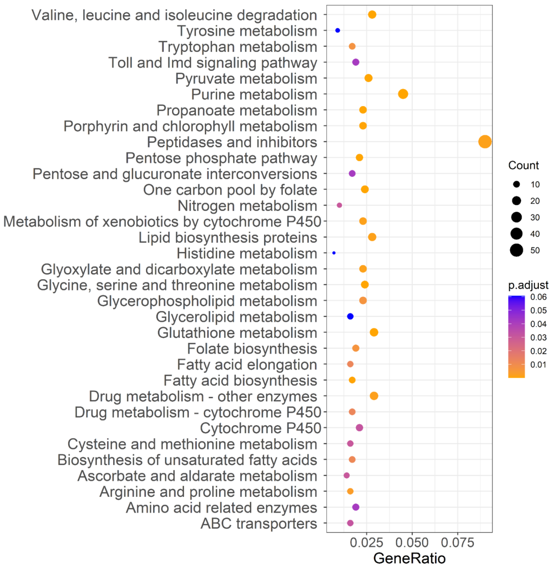 Ijms 23 12245 g005 Ijms 23 12245 g005