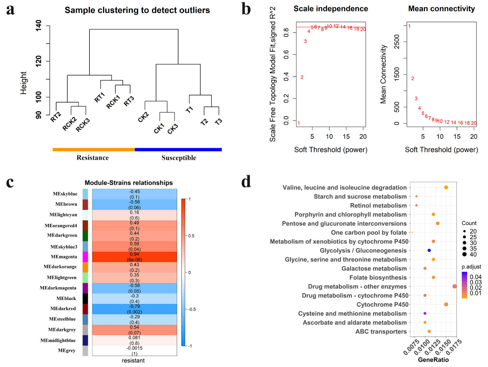 Ijms 23 12245 g006 Ijms 23 12245 g006