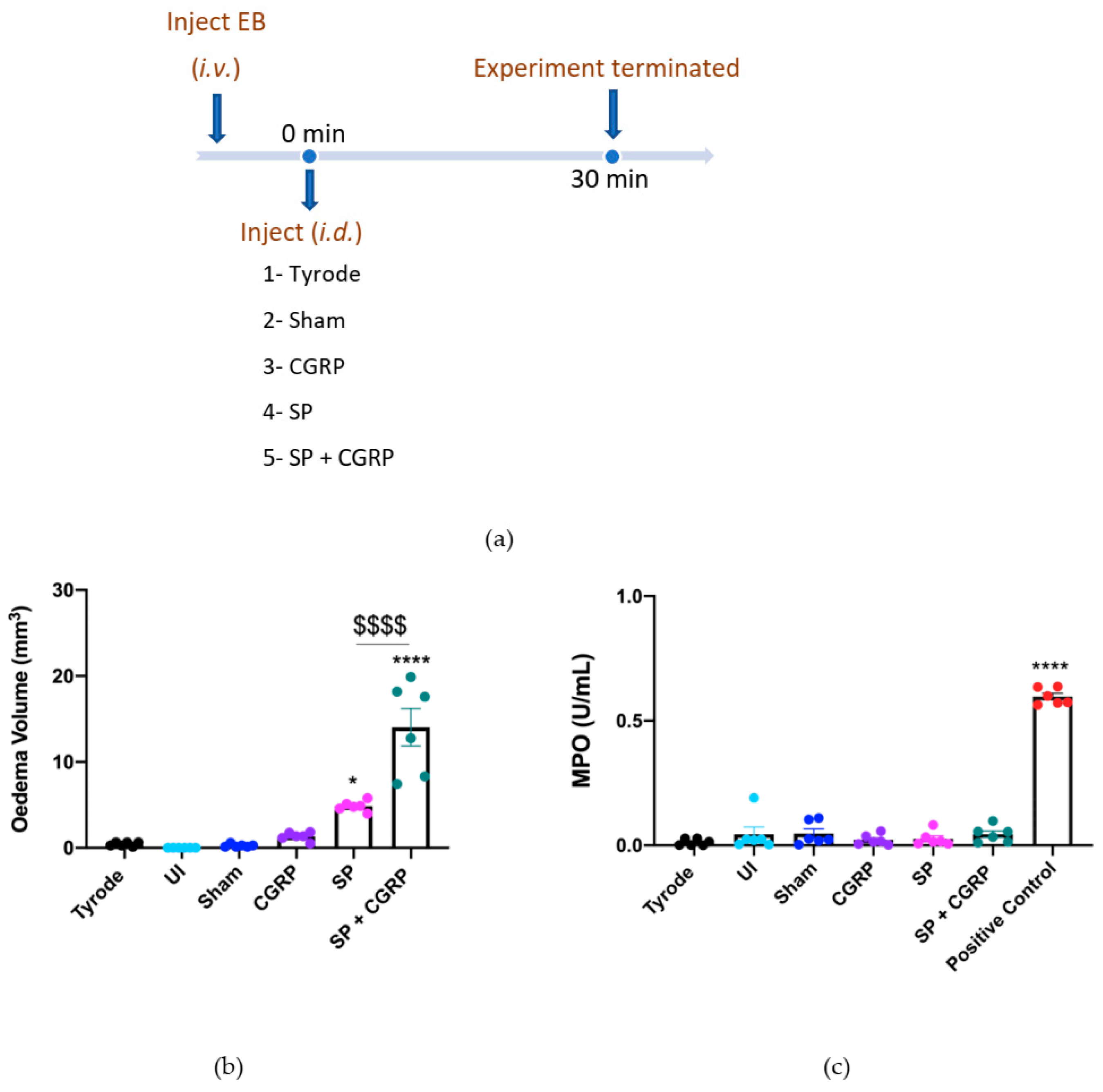 Ijms 23 12246 g001 Ijms 23 12246 g001