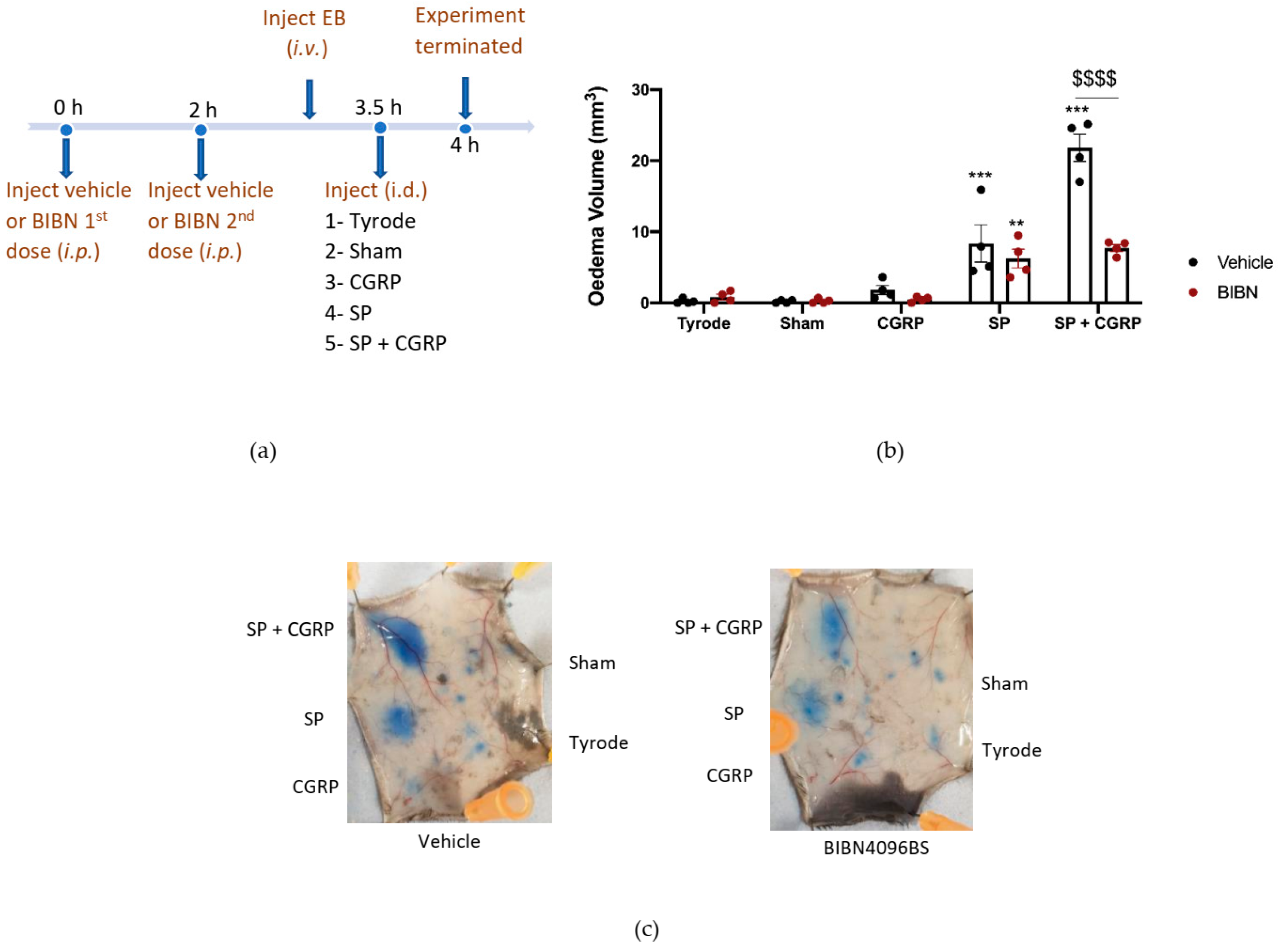 Ijms 23 12246 g004 Ijms 23 12246 g004