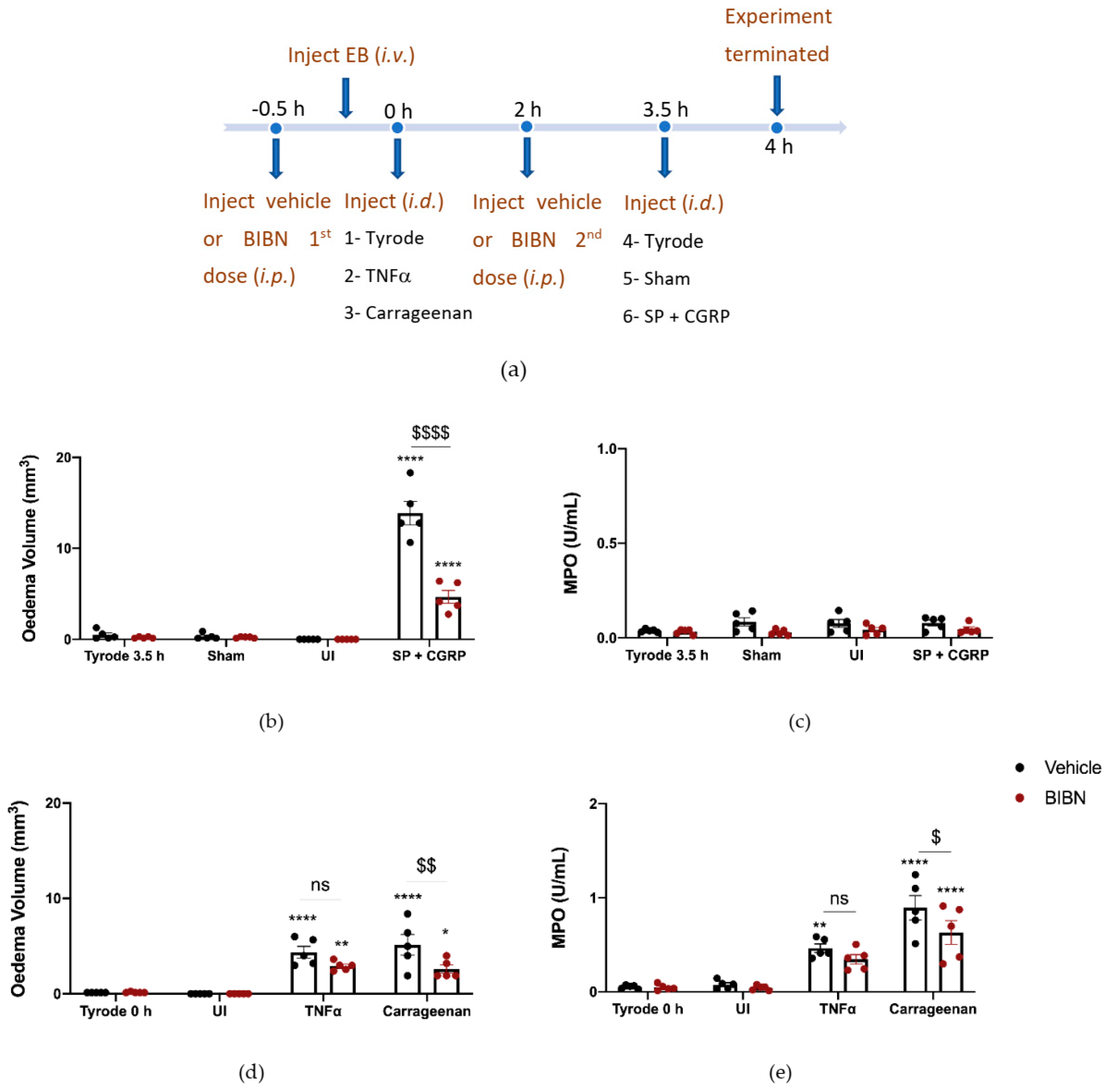 Ijms 23 12246 g005 Ijms 23 12246 g005
