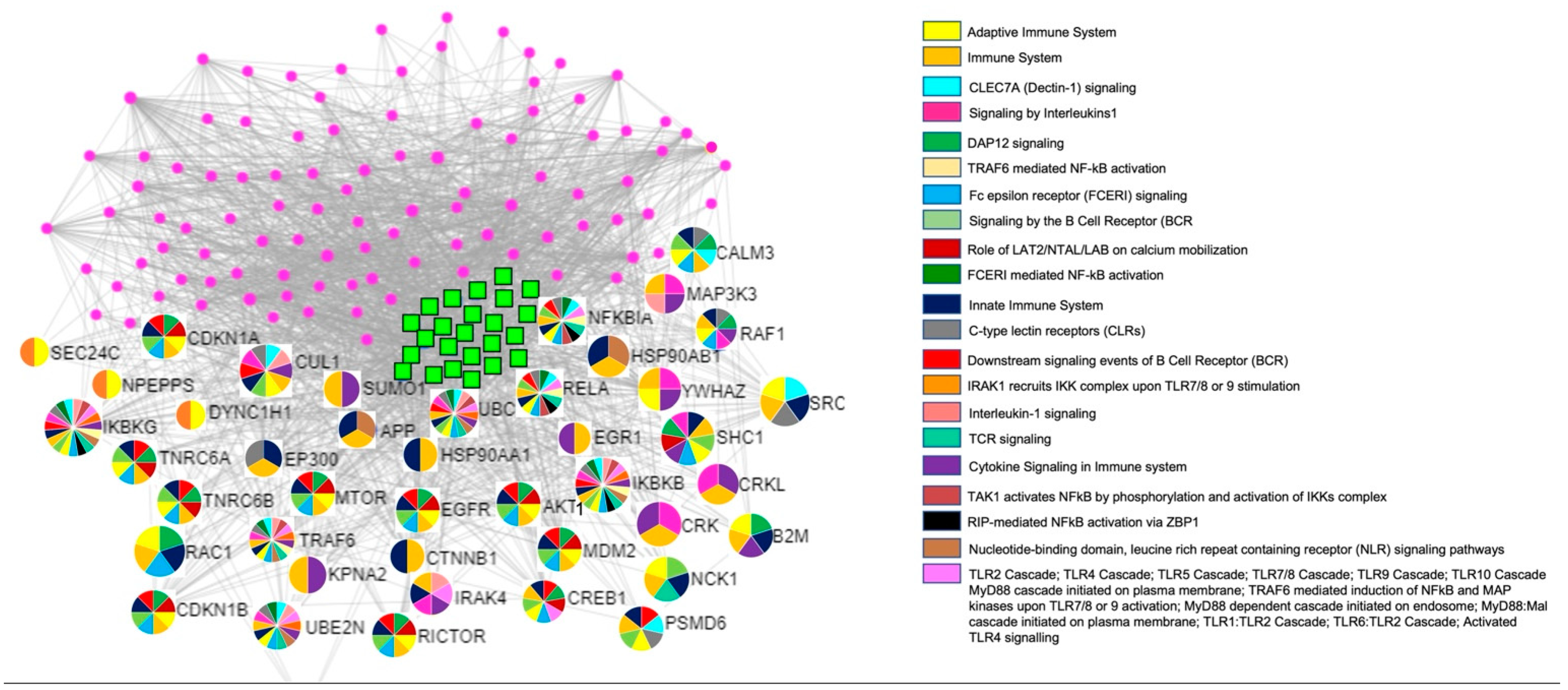 Ijms 23 12248 g002 Ijms 23 12248 g002
